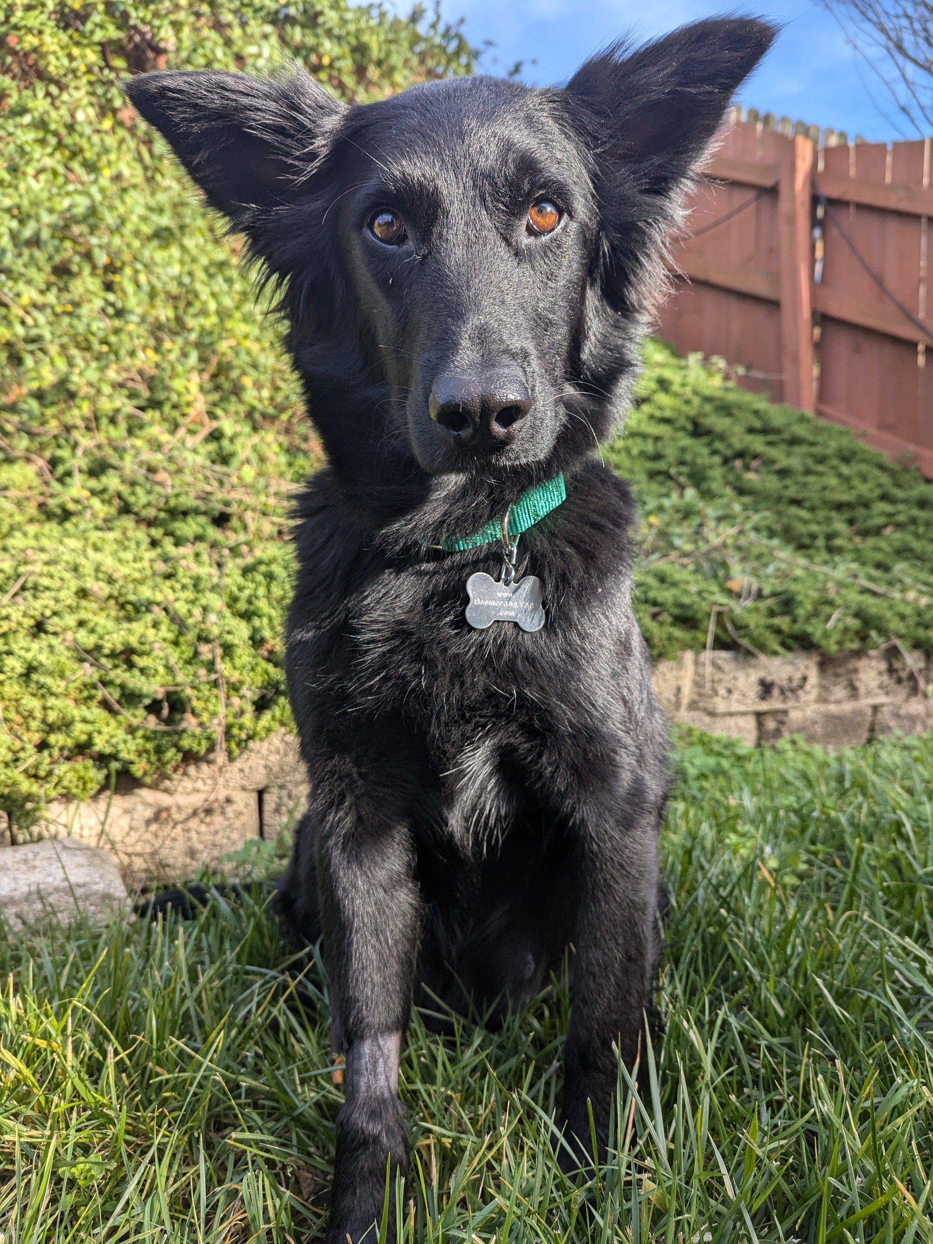 Zeva profile pic.jpg