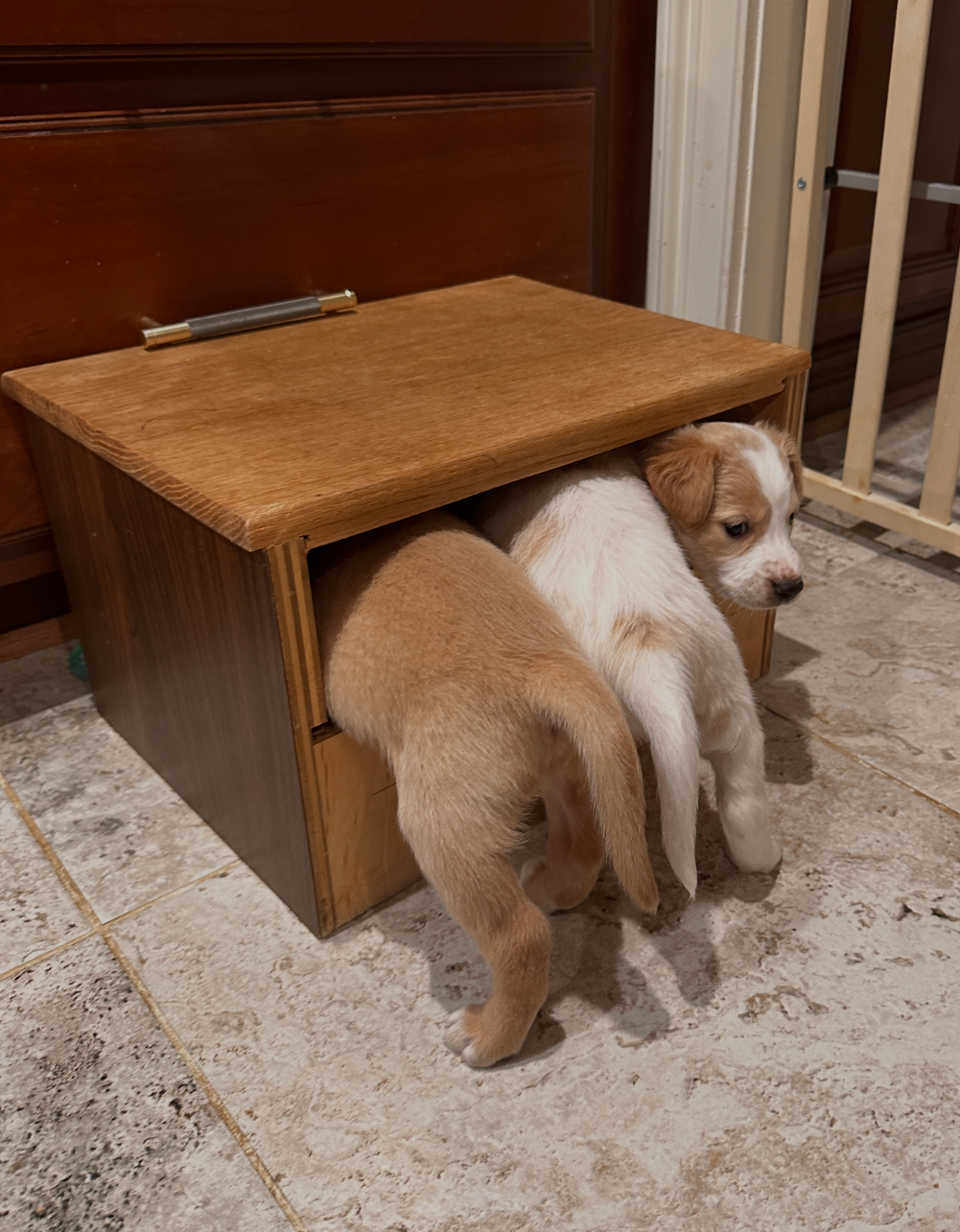 View recent photos.png