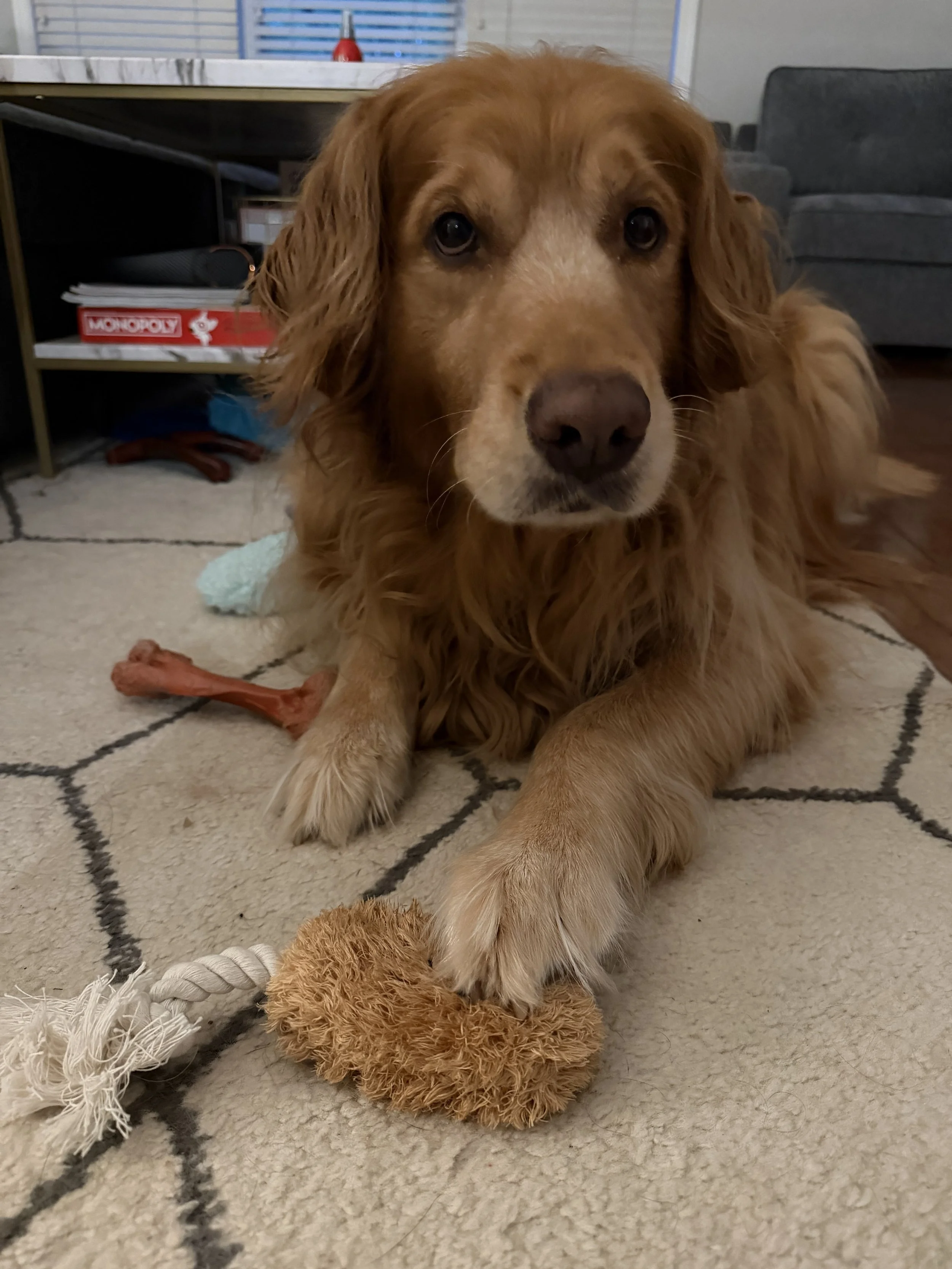 Loudon and his chicken leg.jpg