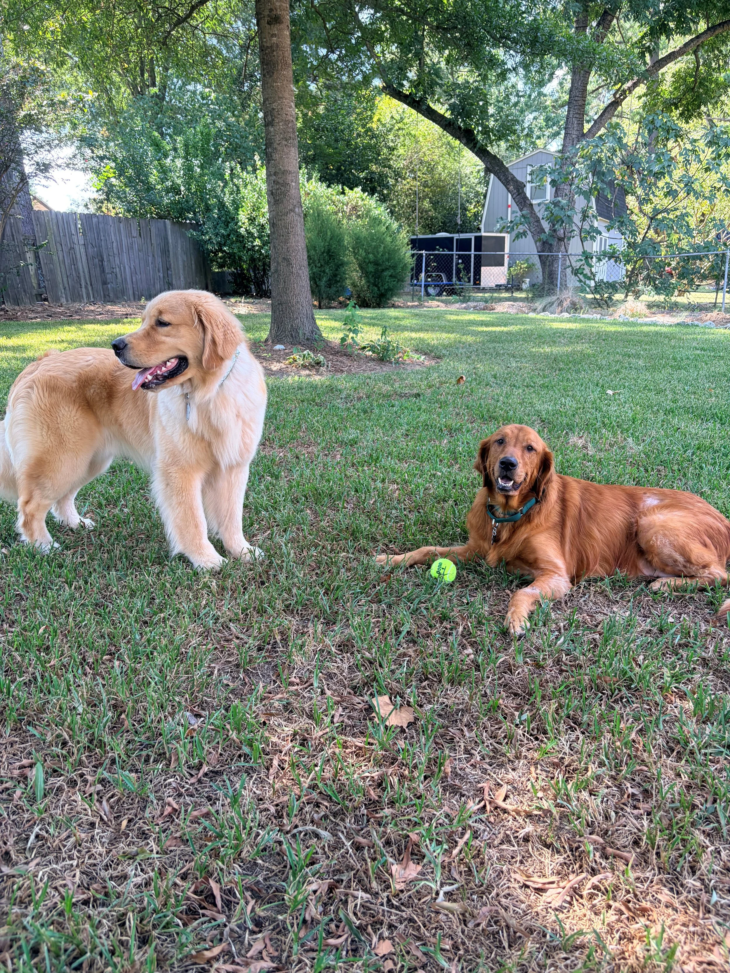 Rena with the Ball.jpg