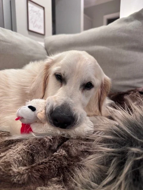 George26 with lamby.jpeg