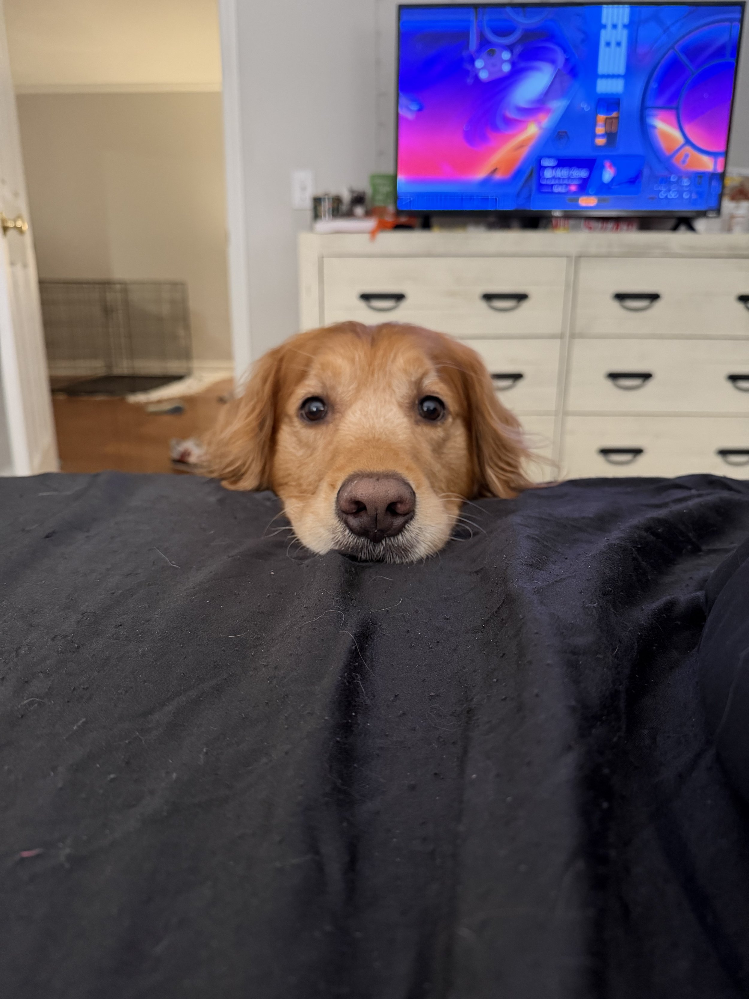 Loudon_s Watching Me.jpg