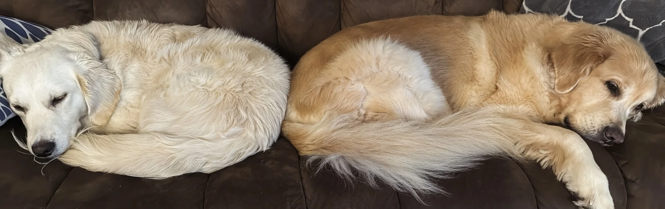 on_couch.jpg