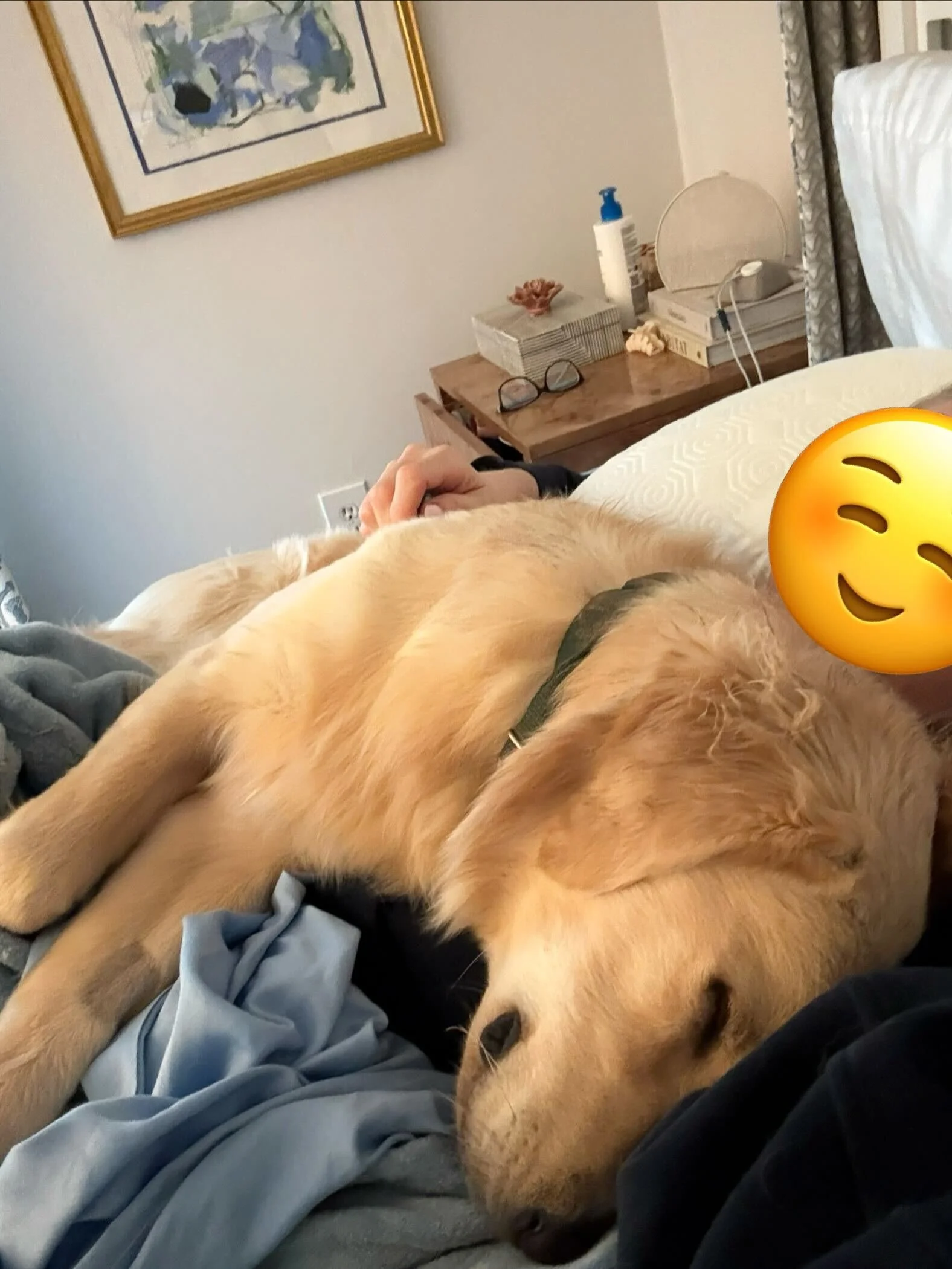 Tomm26 Snuggling.jpg