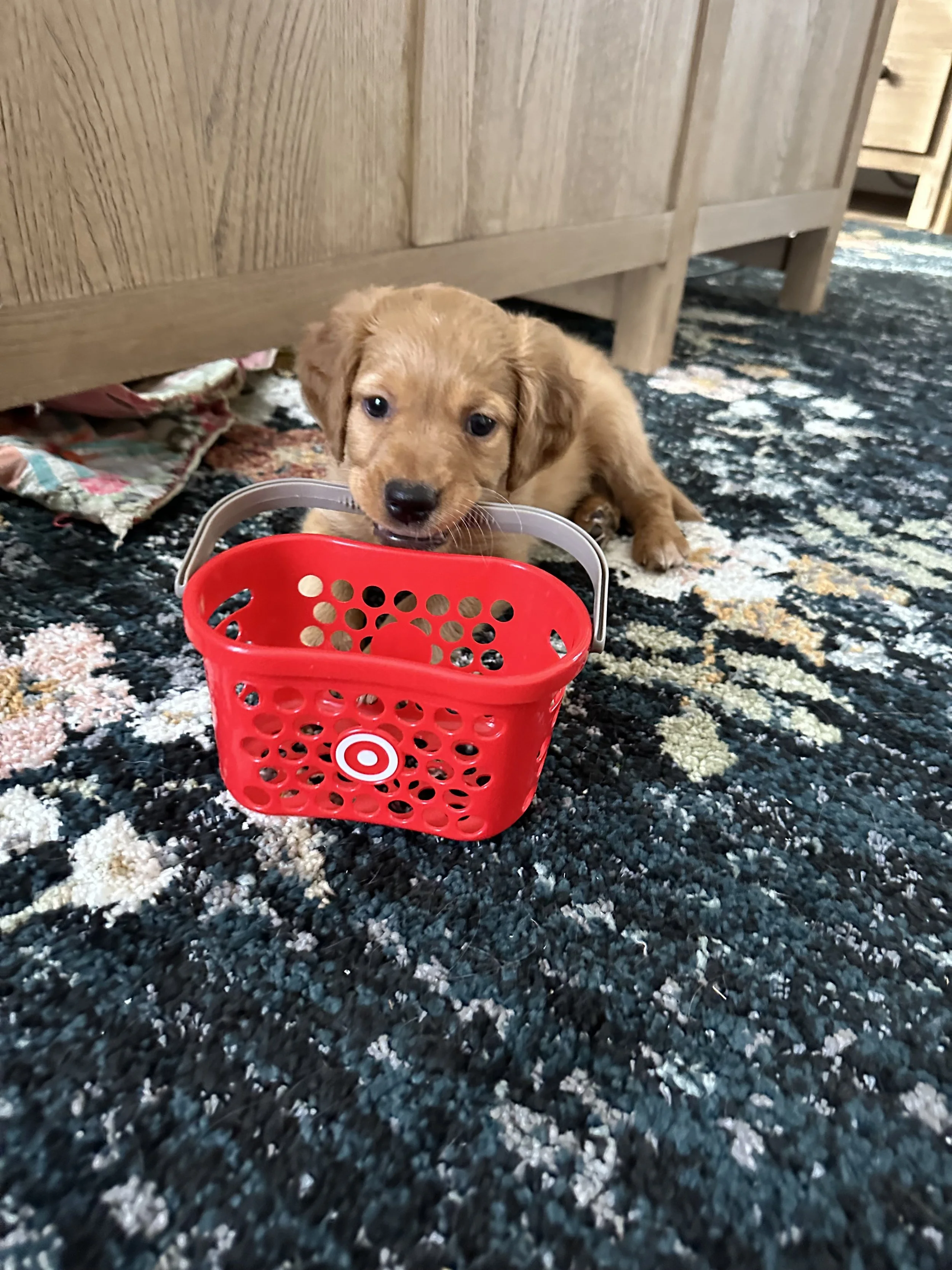 Tide the Target Personal Shopper.jpeg