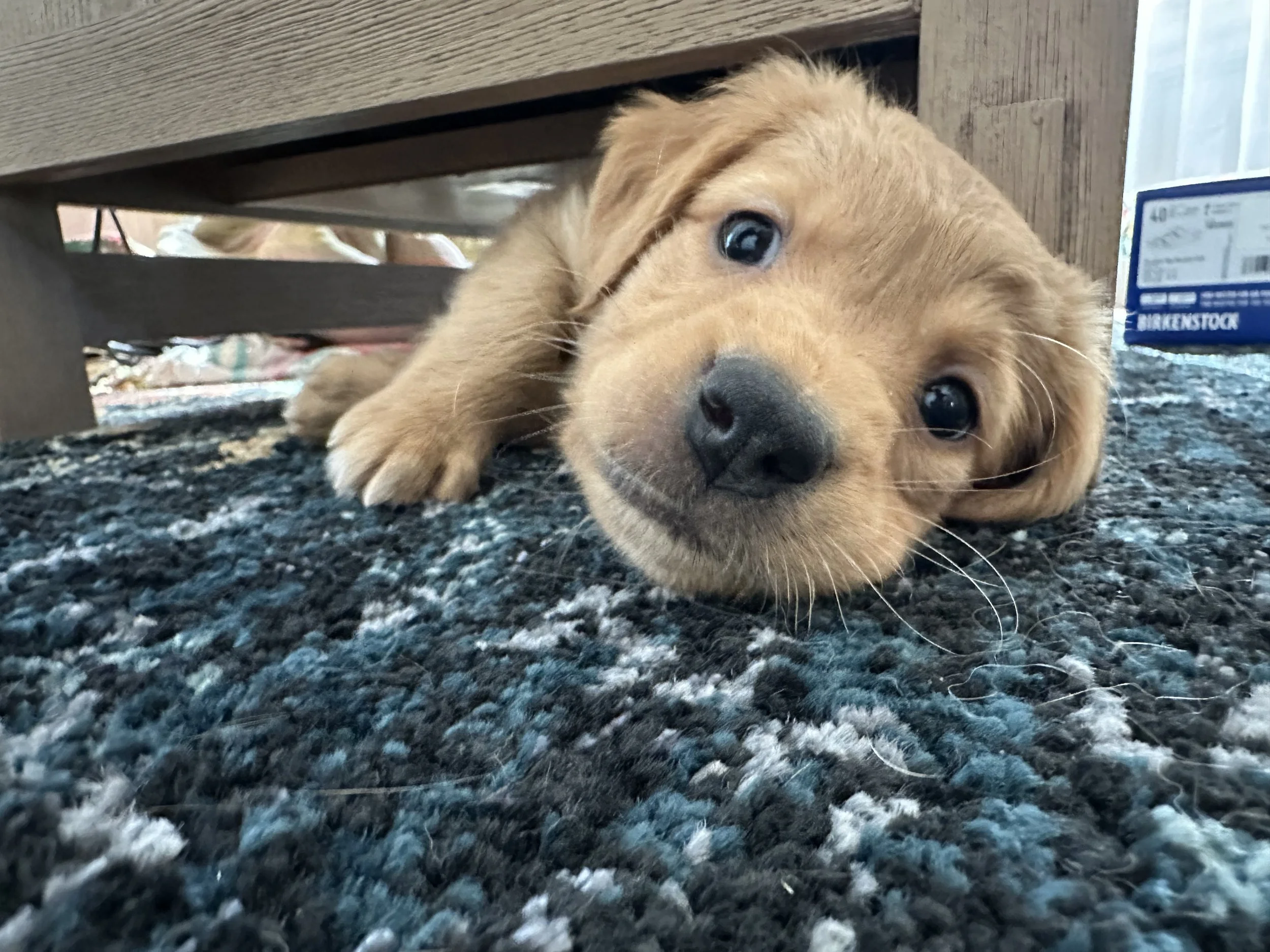 Tide Squeezing into Small Spaces.jpeg