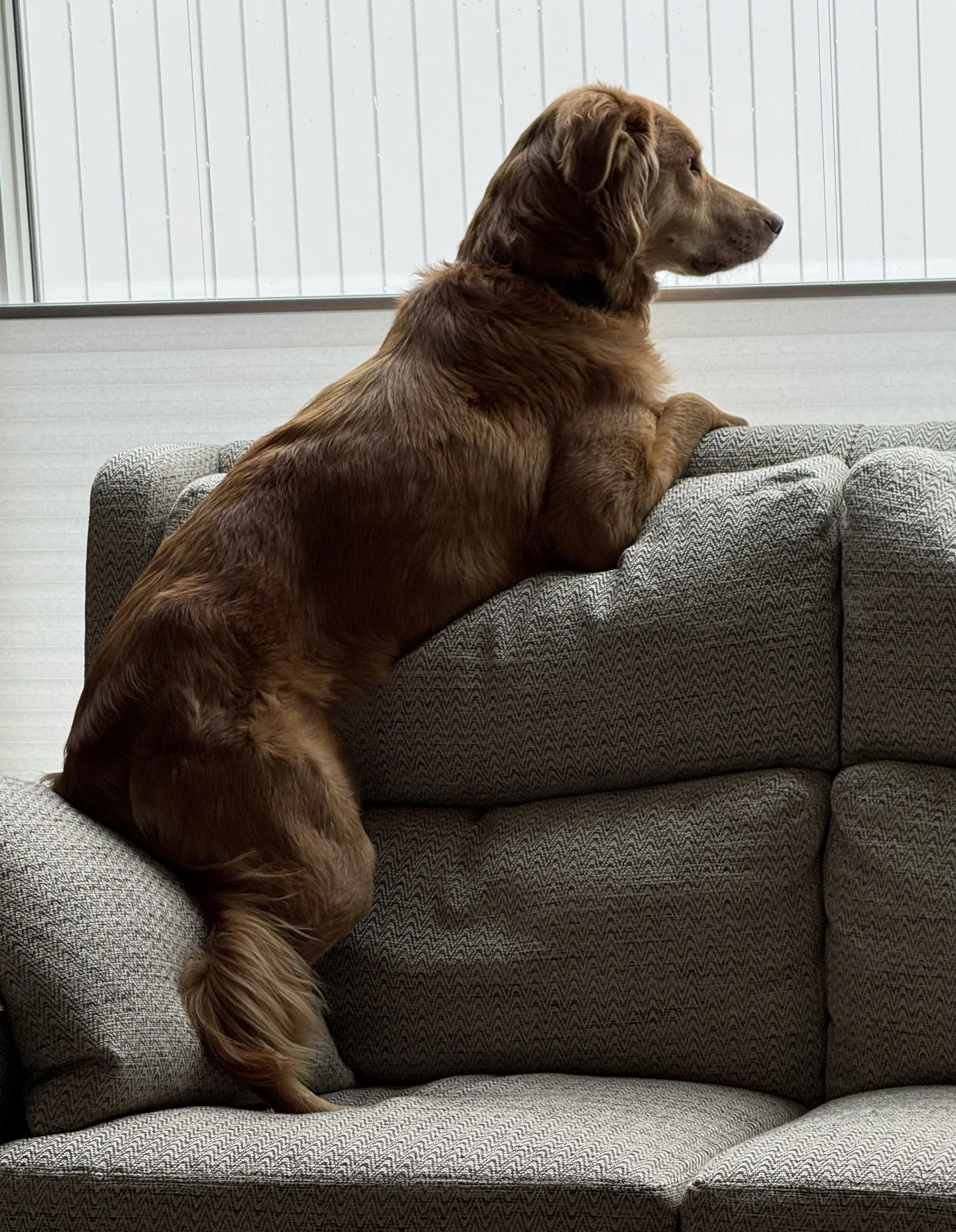 Will Relaxing on Guard Duty.jpeg