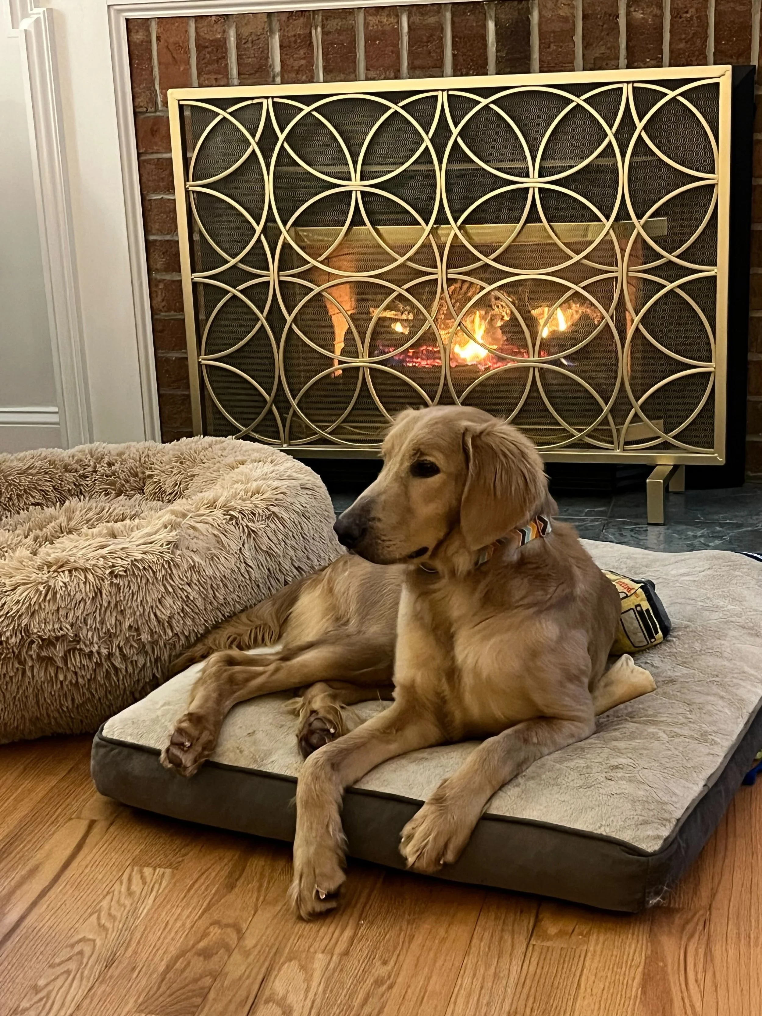 _Main site picture.jpg