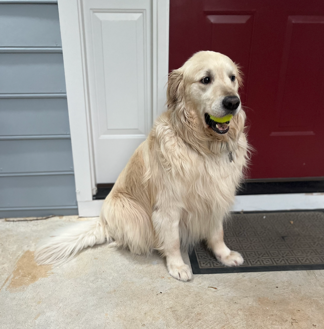 Jedi26_sitting with ball-.jpg