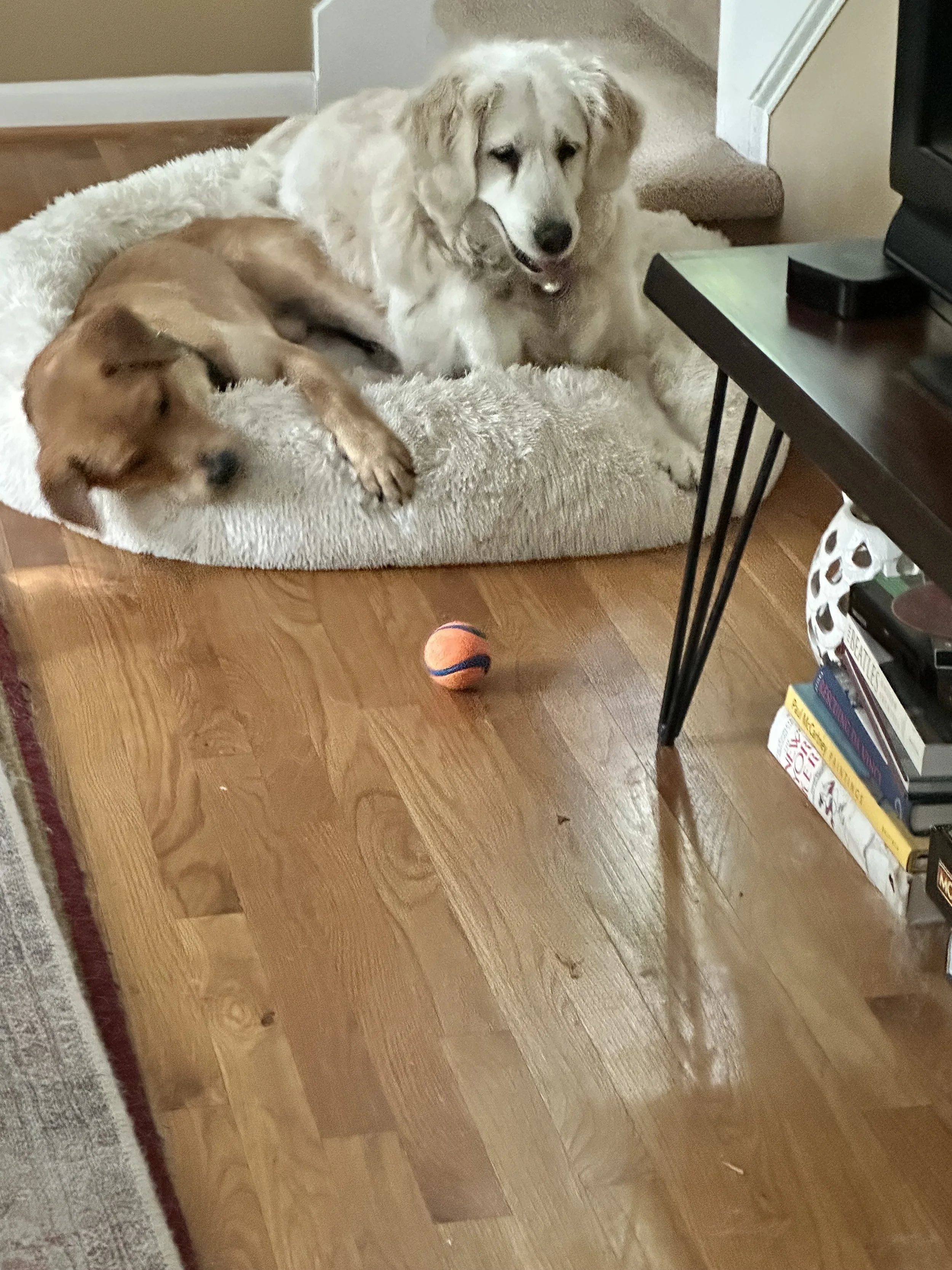 IMG_6191.jpeg