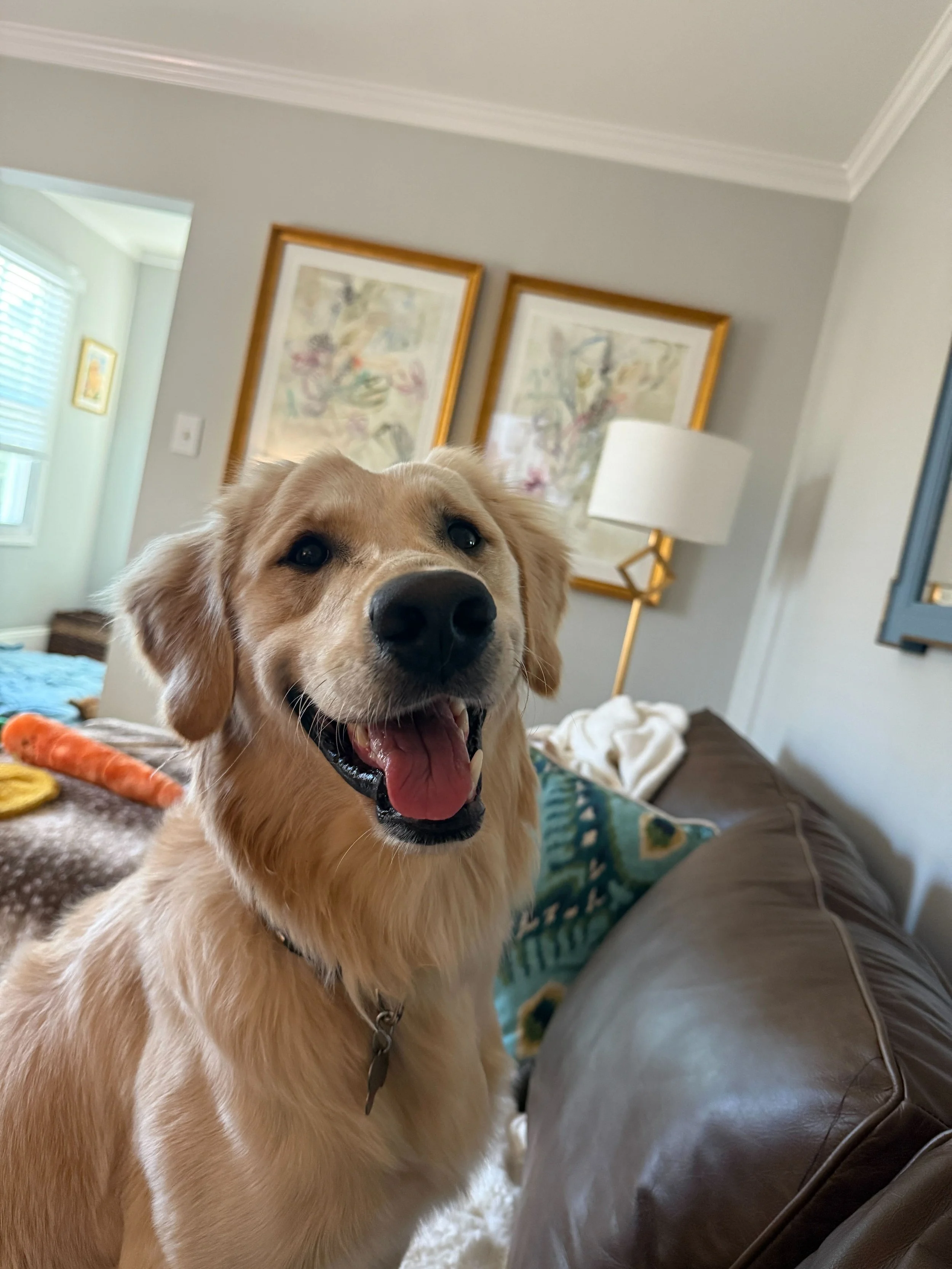 Tommy26 Happiest Boy.jpg