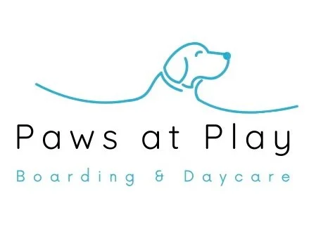 PawsAtPlay_Cropped.jpg