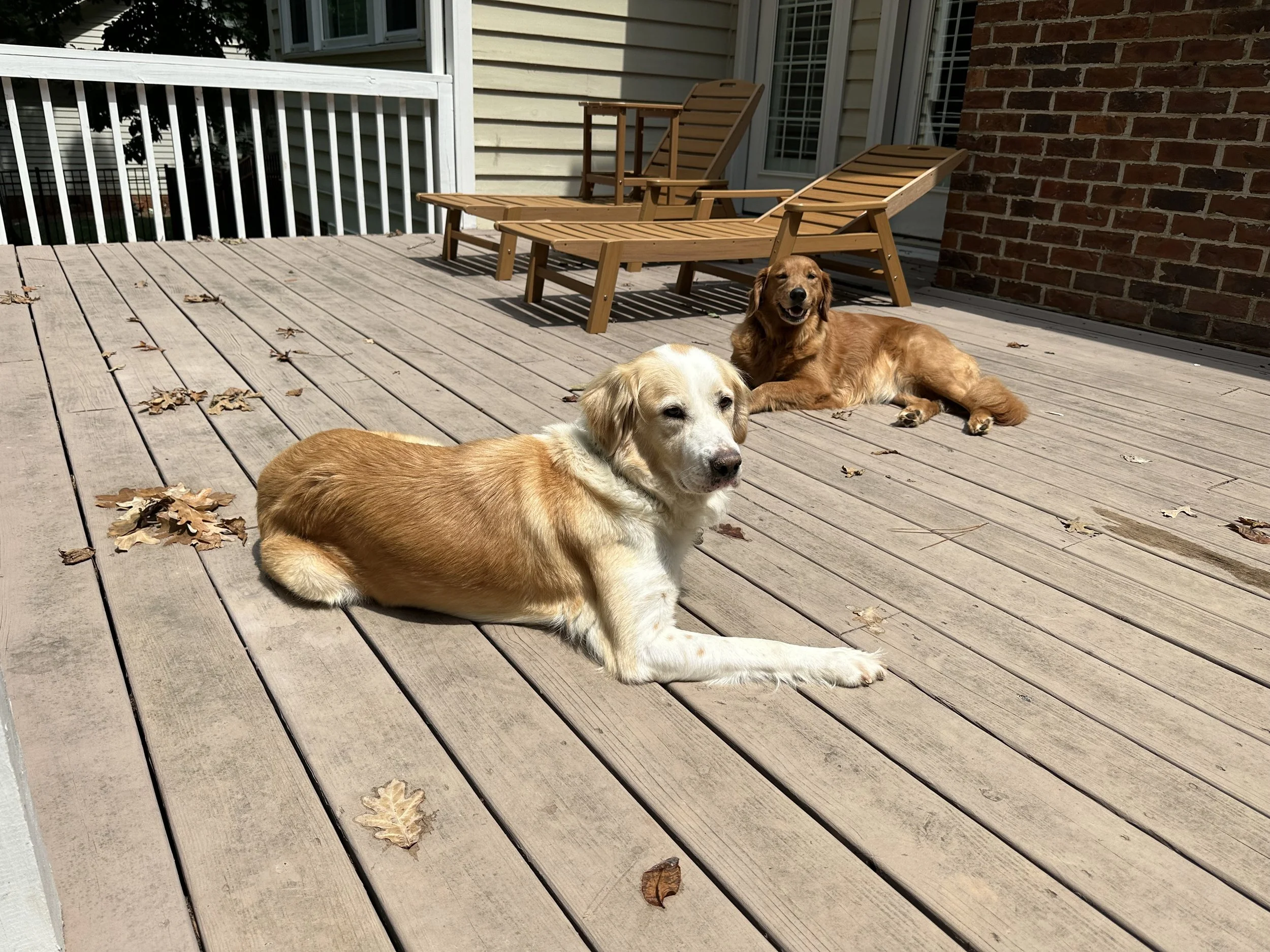 Copy of IMG_4677.jpeg