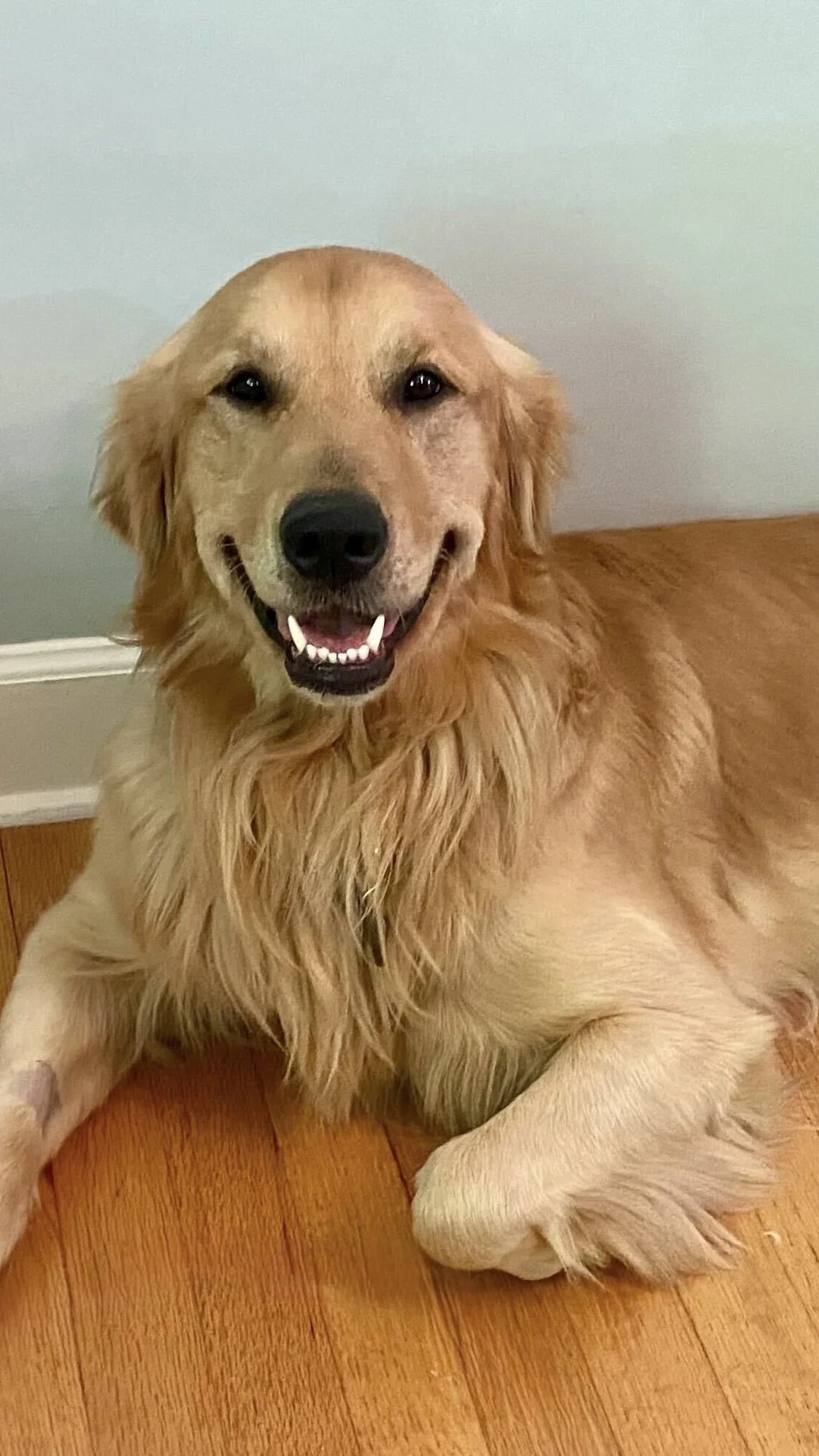 SmilingMarty.jpg