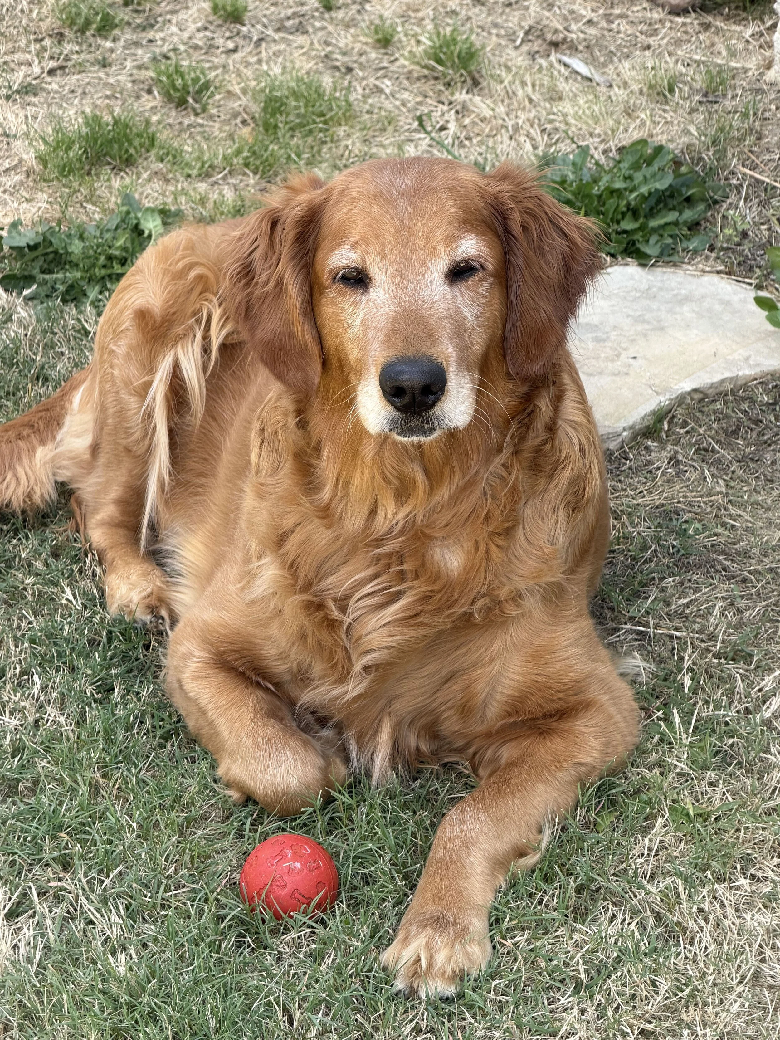 Isadora Posing.jpg