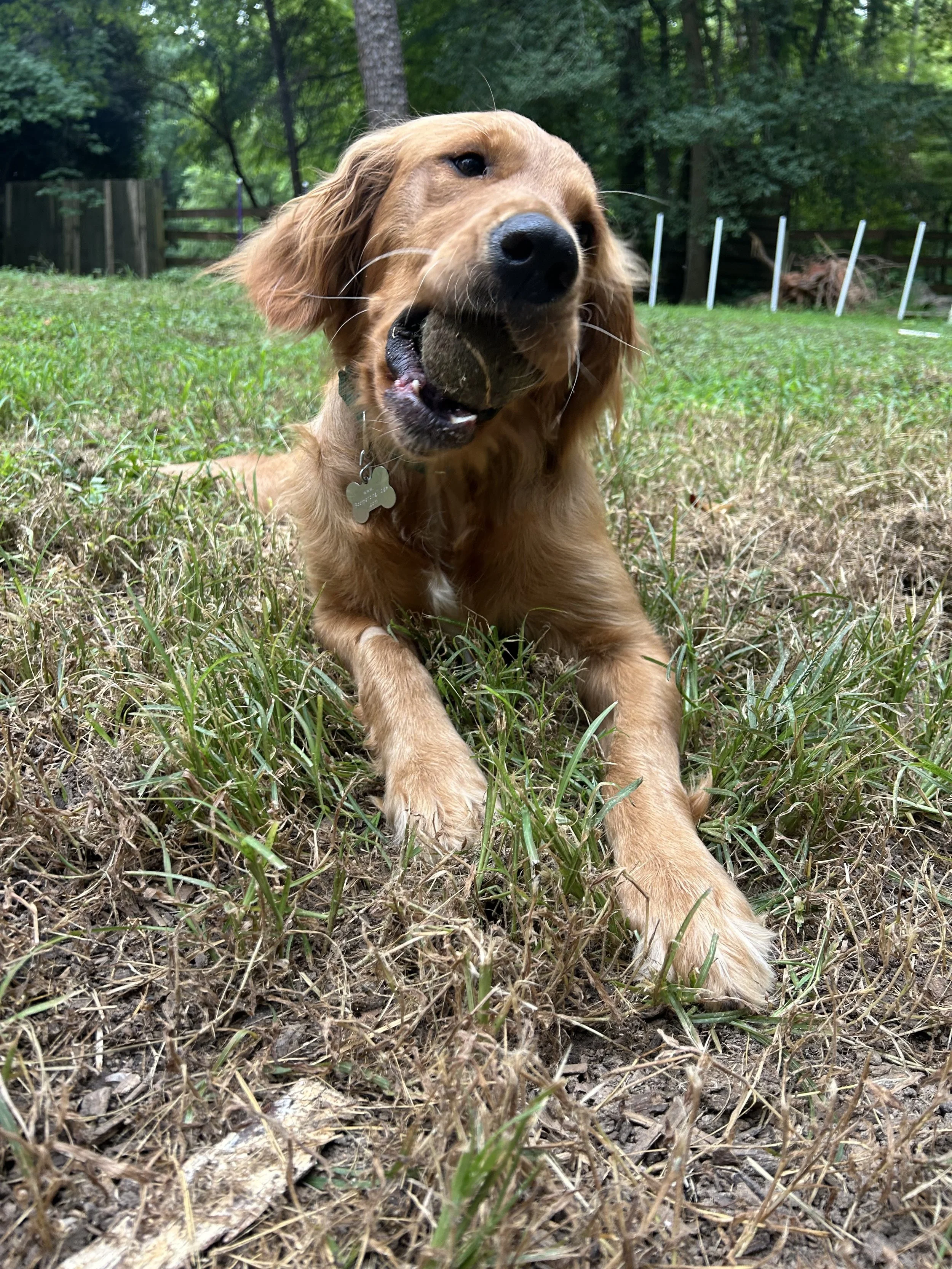 Felicity26 Playing Ball.jpeg