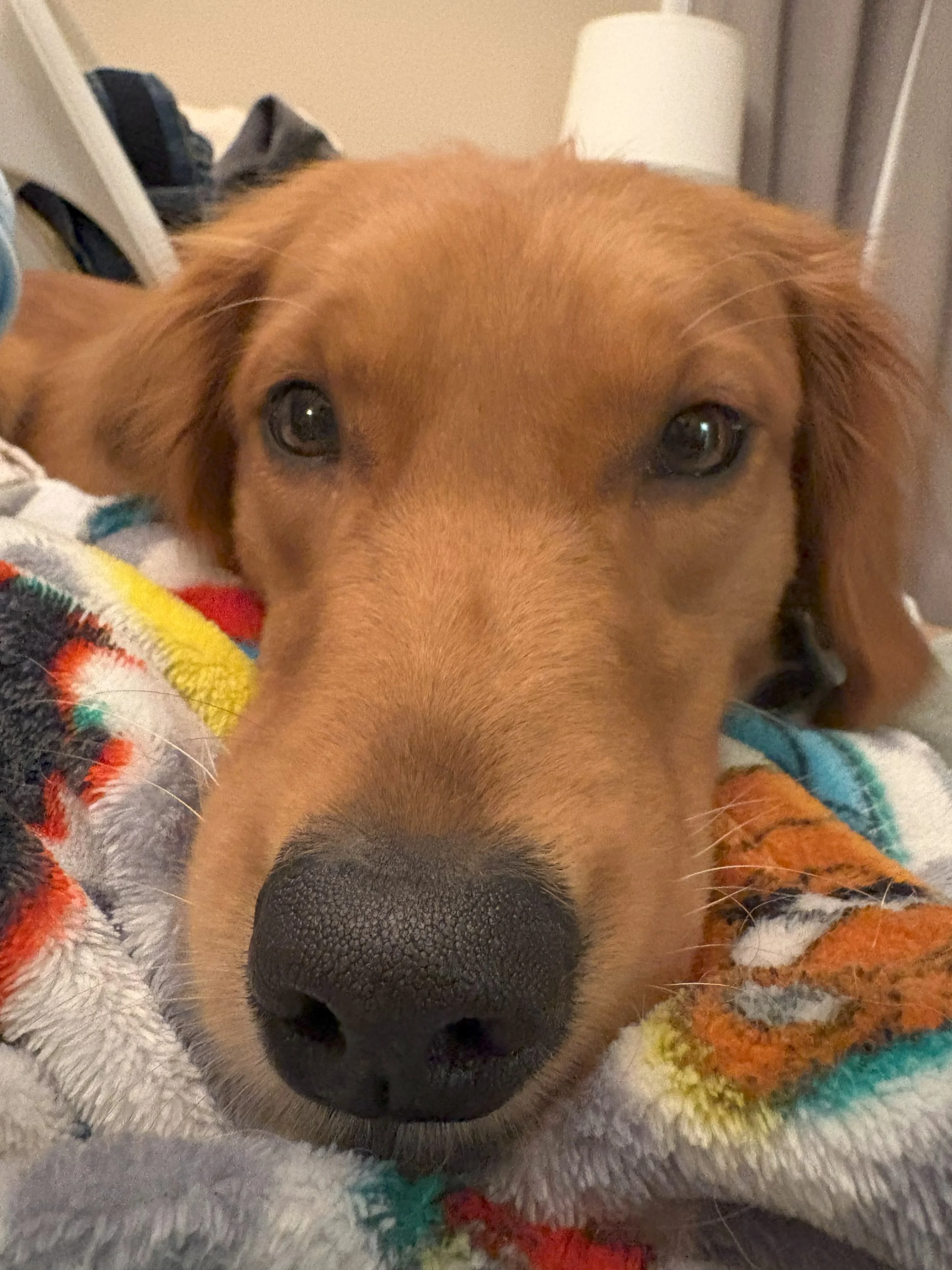 Ember25 Close Up.jpeg