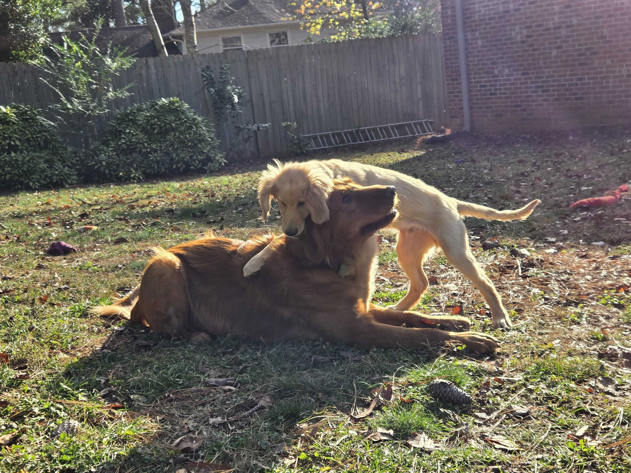Kent with foster brother.jpg