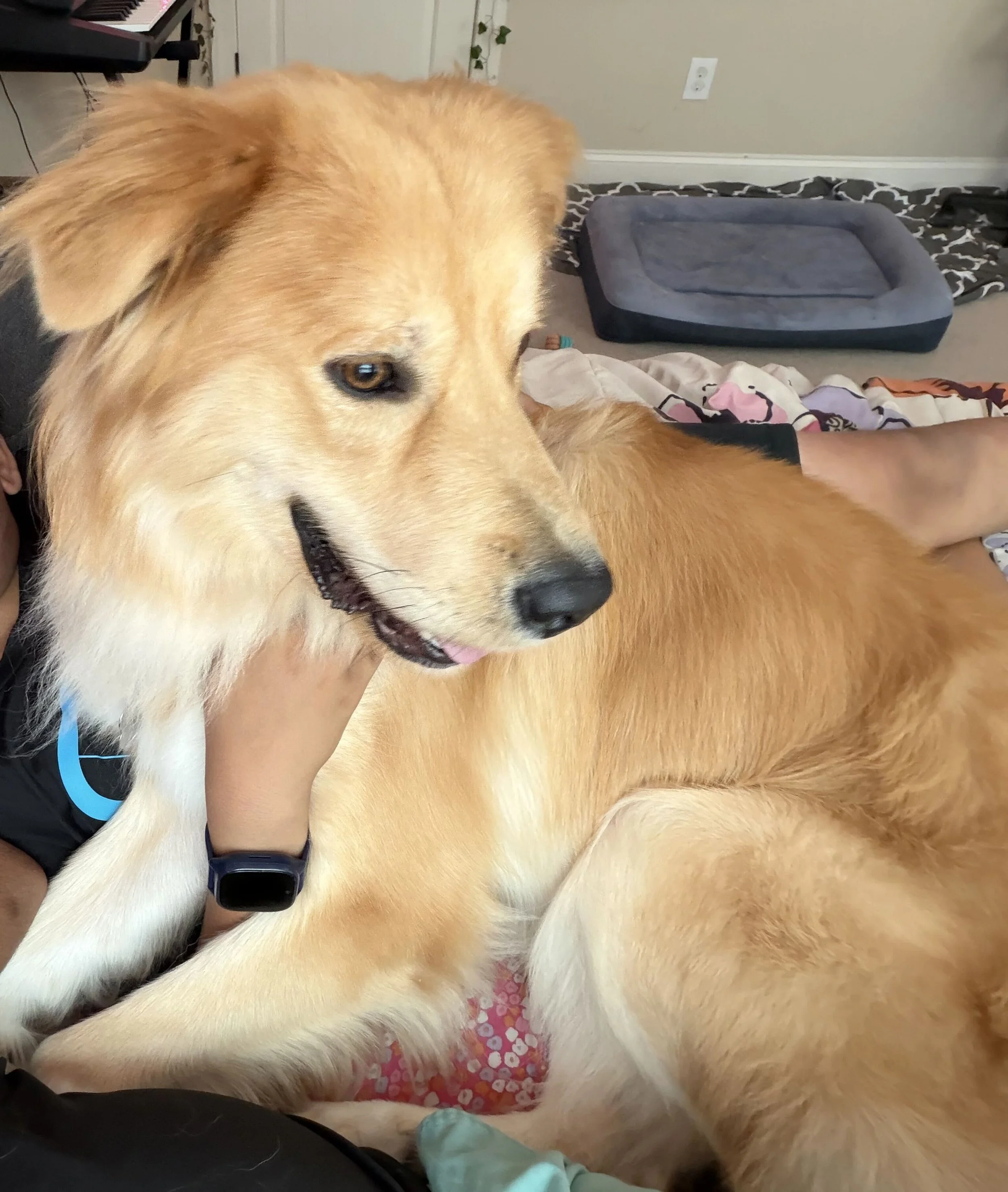 Orlando26 Cuddling.jpg