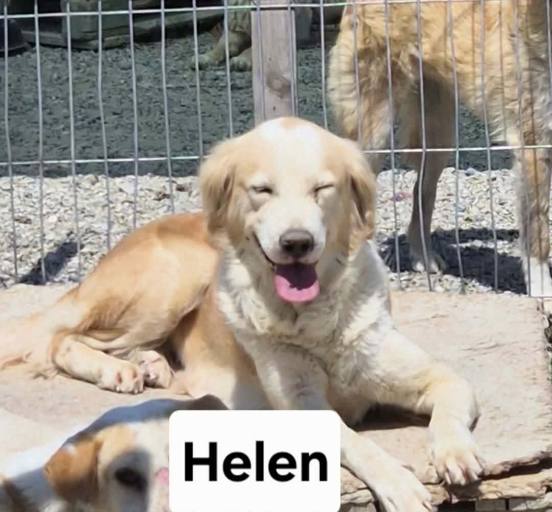 Helen