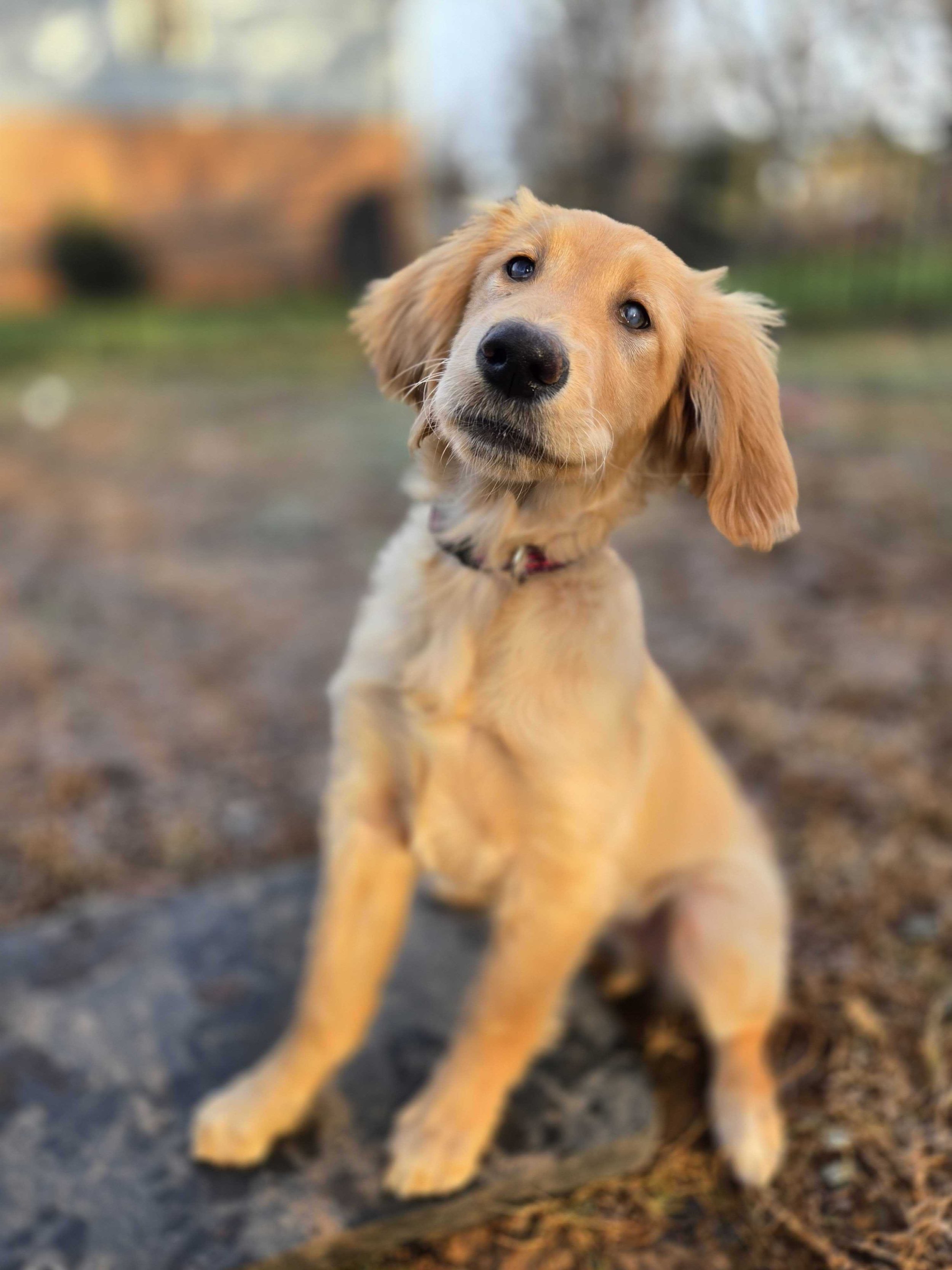 Kent profile pic.jpg