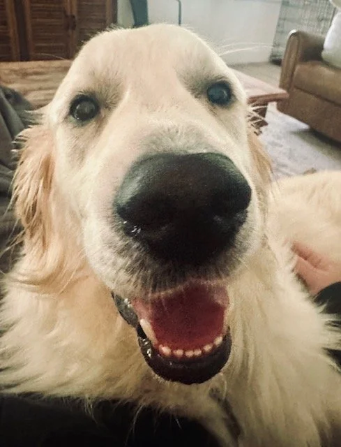 George26 Smile.jpeg