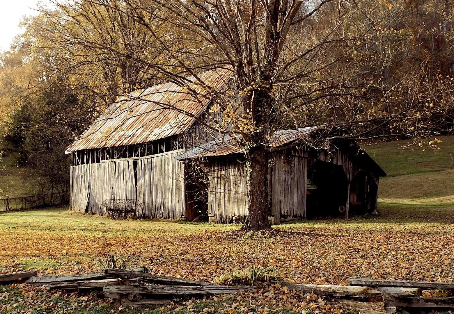 Random barn in Robertson Co. Tennessee 