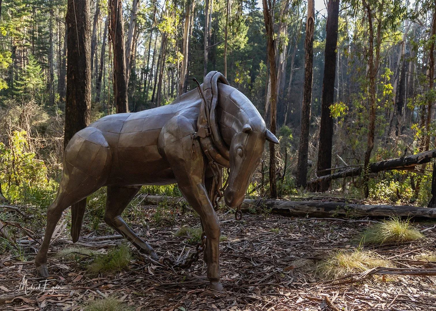 Sculptures in the Forest Laurel Hill