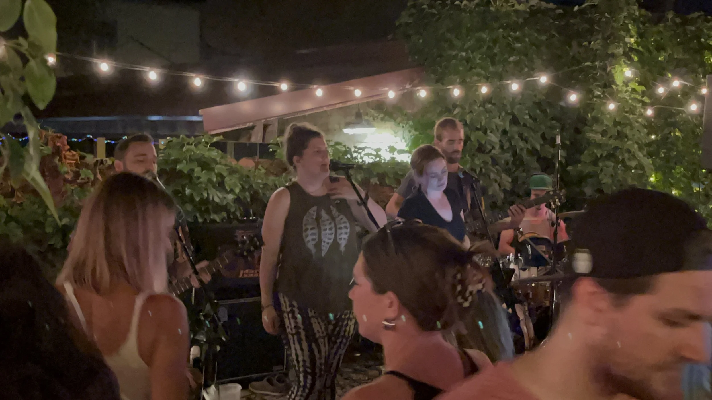 Outdoor live music performance with musicians and audience; string lights and greenery in the background.