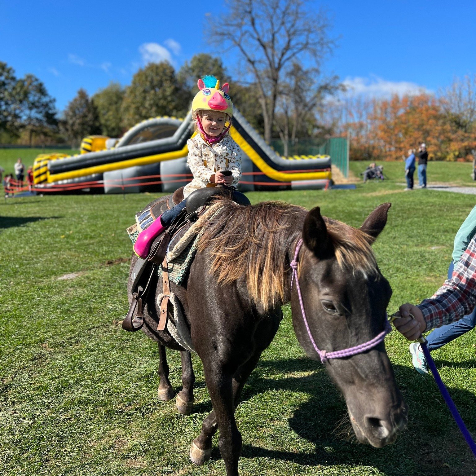 Pony Rides, hayrides, live pumpkin carving, food trucks, fall craft vendors, activities for kids, and so much more!! Don't miss the Shippensburg Pumpkin Festival this Saturday-Sunday, October 26-27! 🎃
