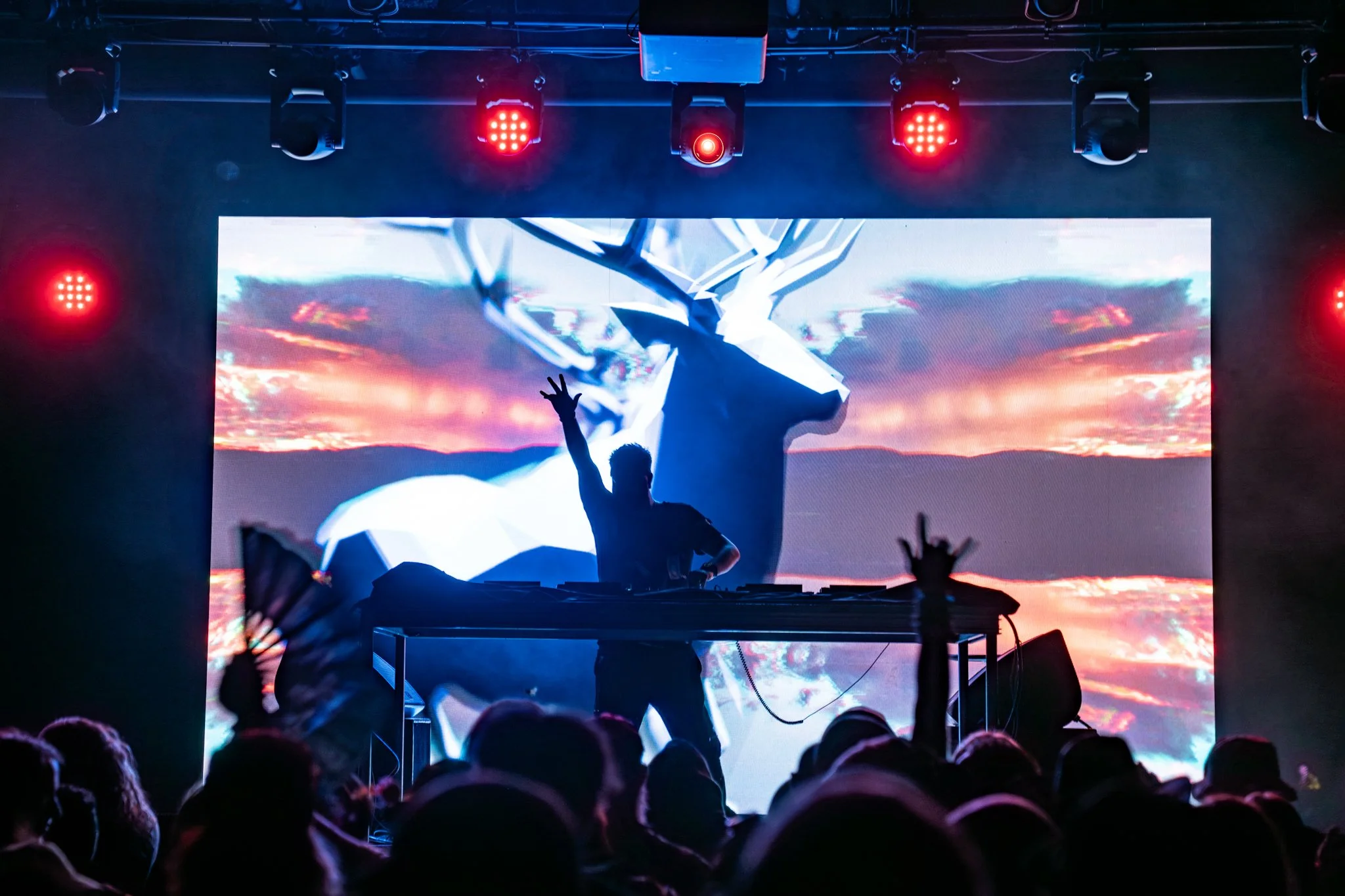 Wooli @ Treefort Music Hall (Boise, ID) - 2024 - Photo by Devyn Morris - Focked Media - Focked.net-047.jpg