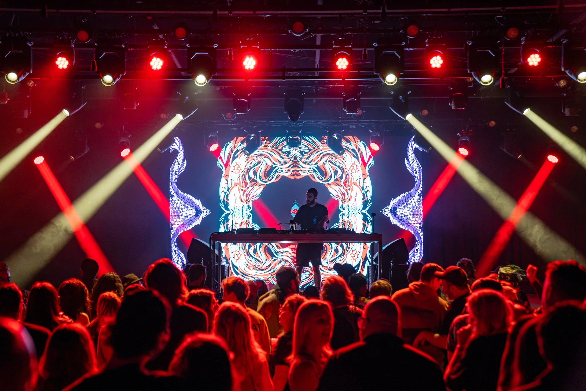 SURREAL @FOCKEDMEDIA - BIG GIGANTIC-18.jpg