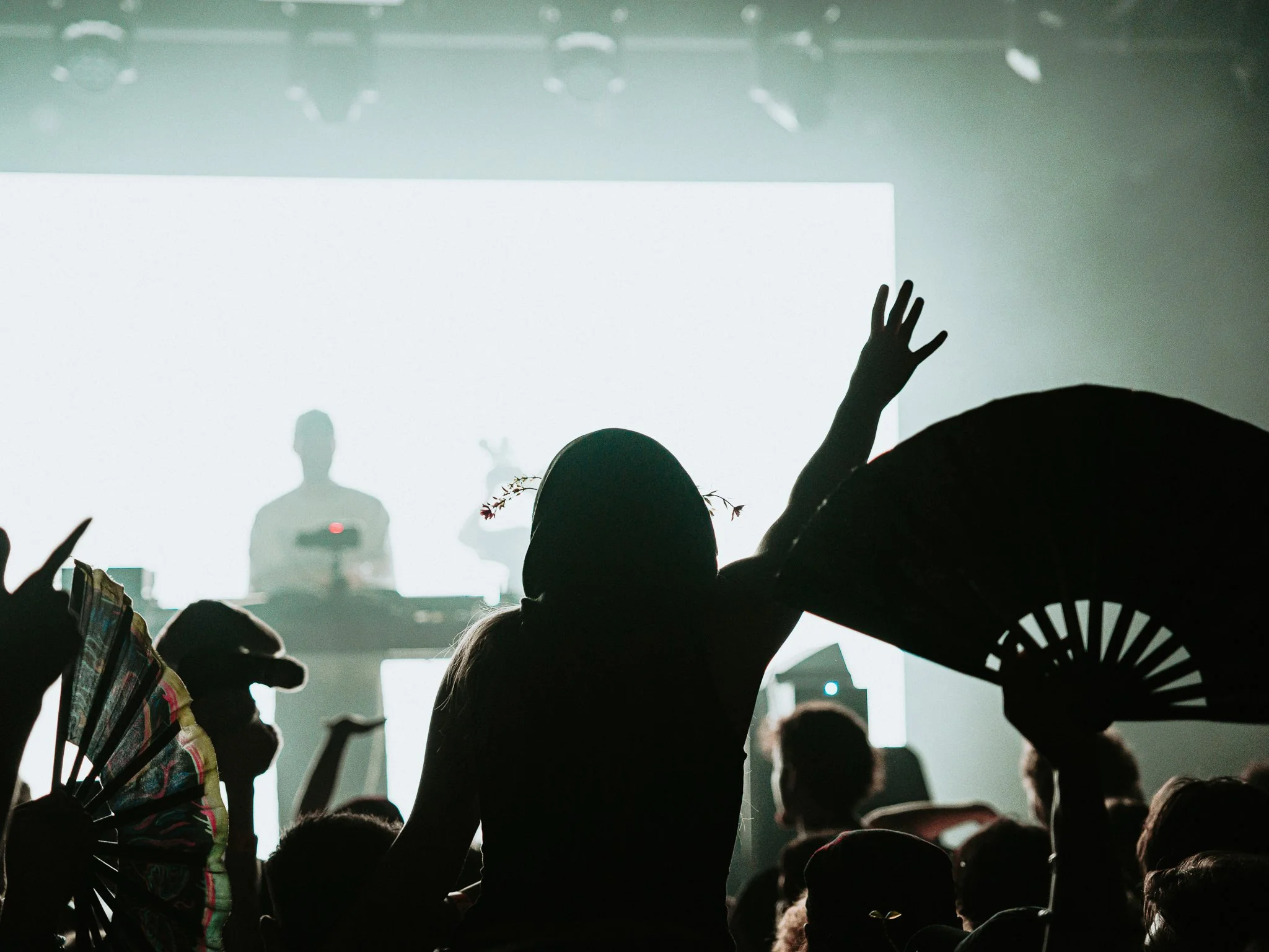 @vnshvisual CRANKDAT 6.5.2026 for Focked.net-8.jpg