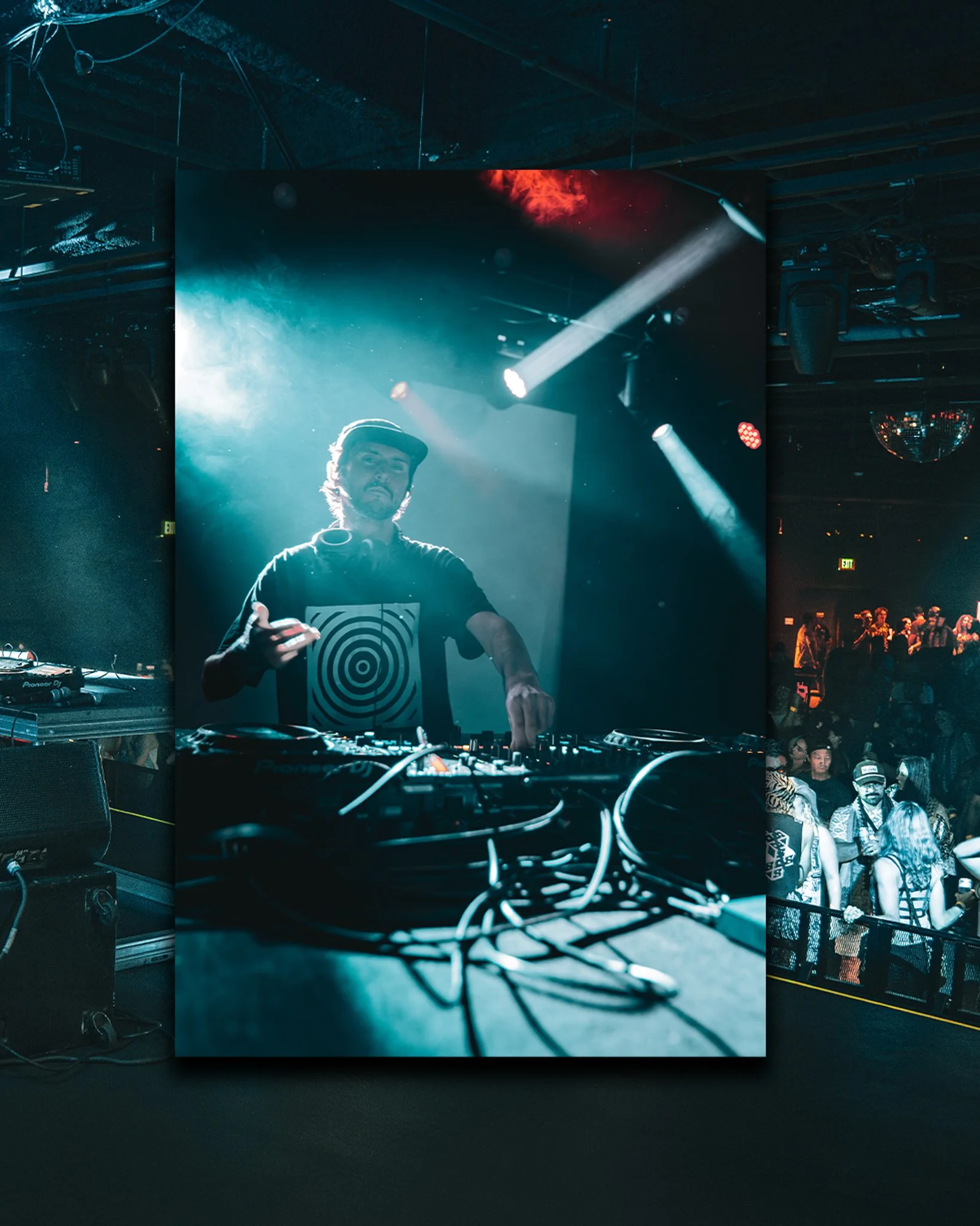 Evolushawn-Collage_05.jpg