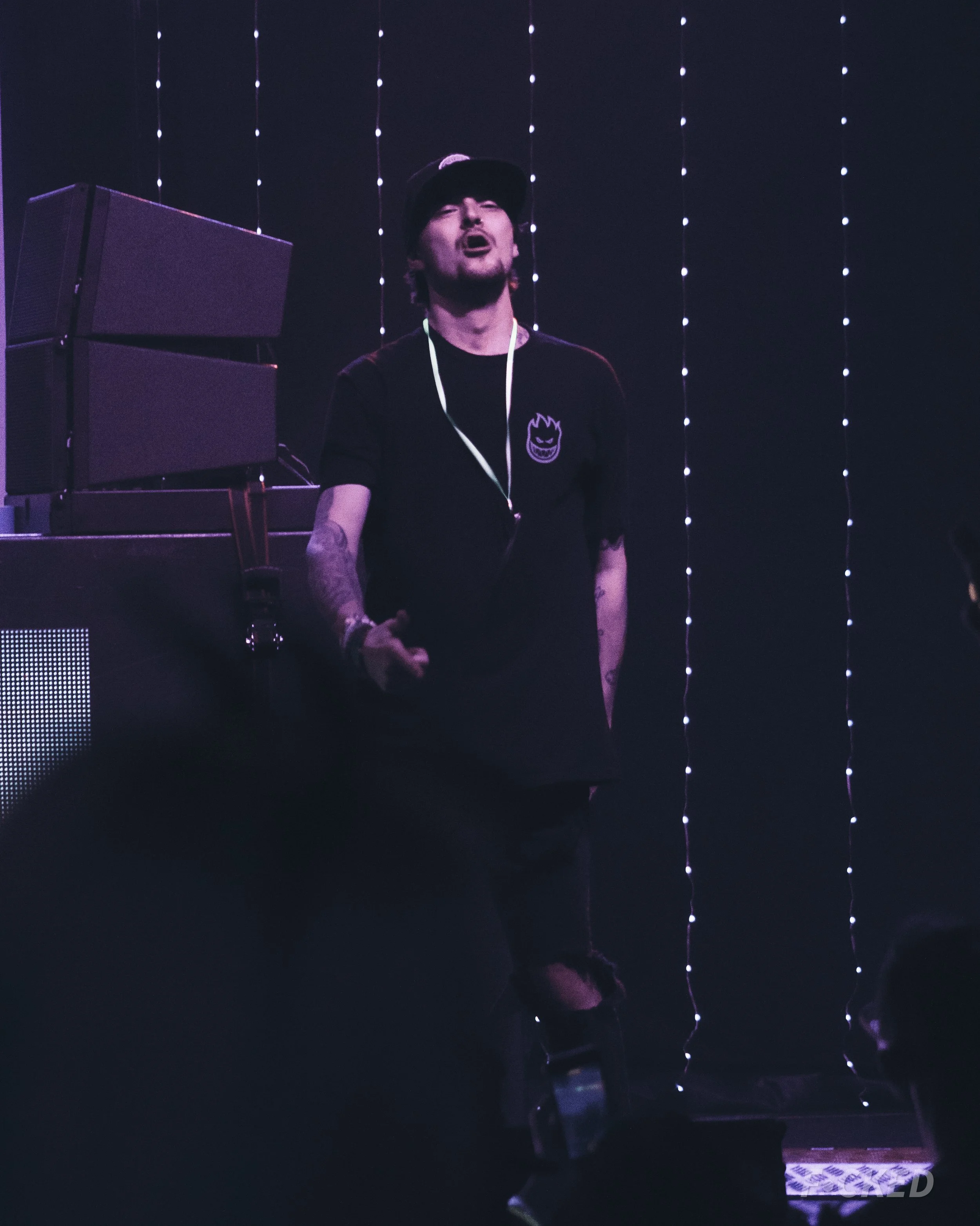hazambe b2b whiplvsh vertical-23.jpg