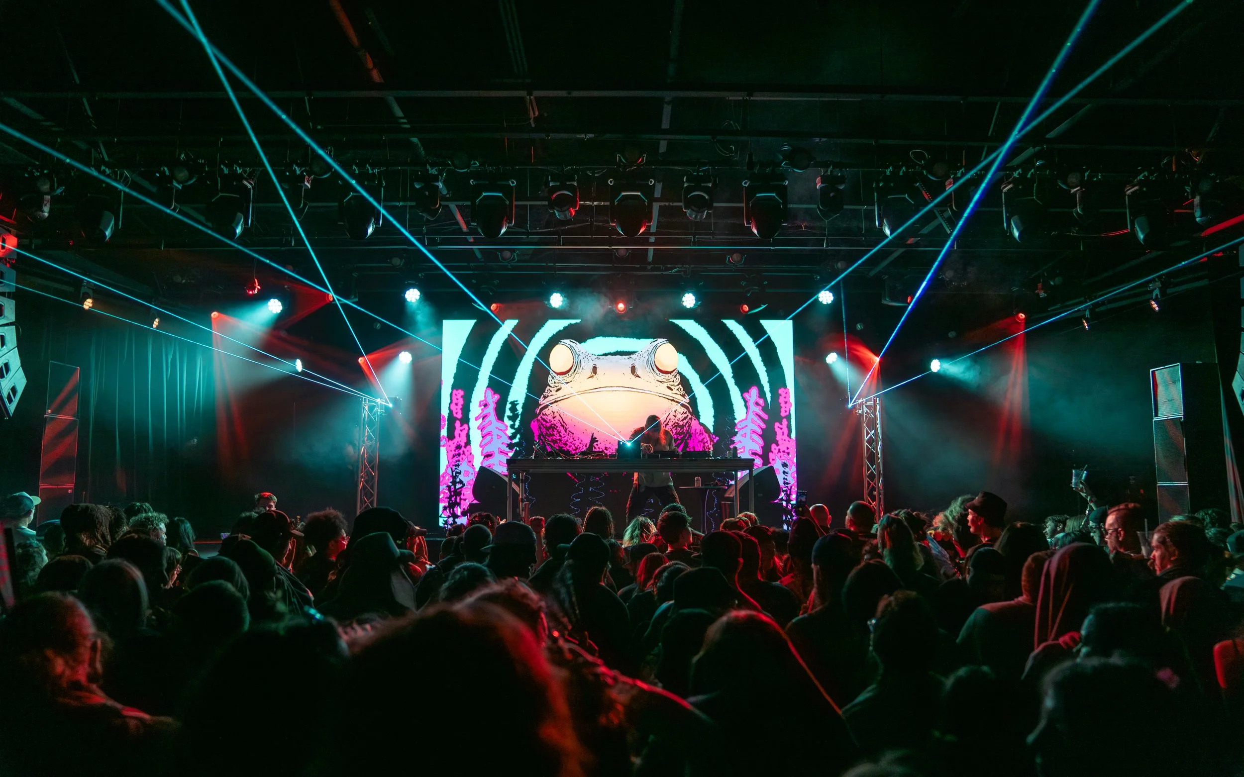 1 26 24 - Boogie T by @fockedmedia-28.jpg
