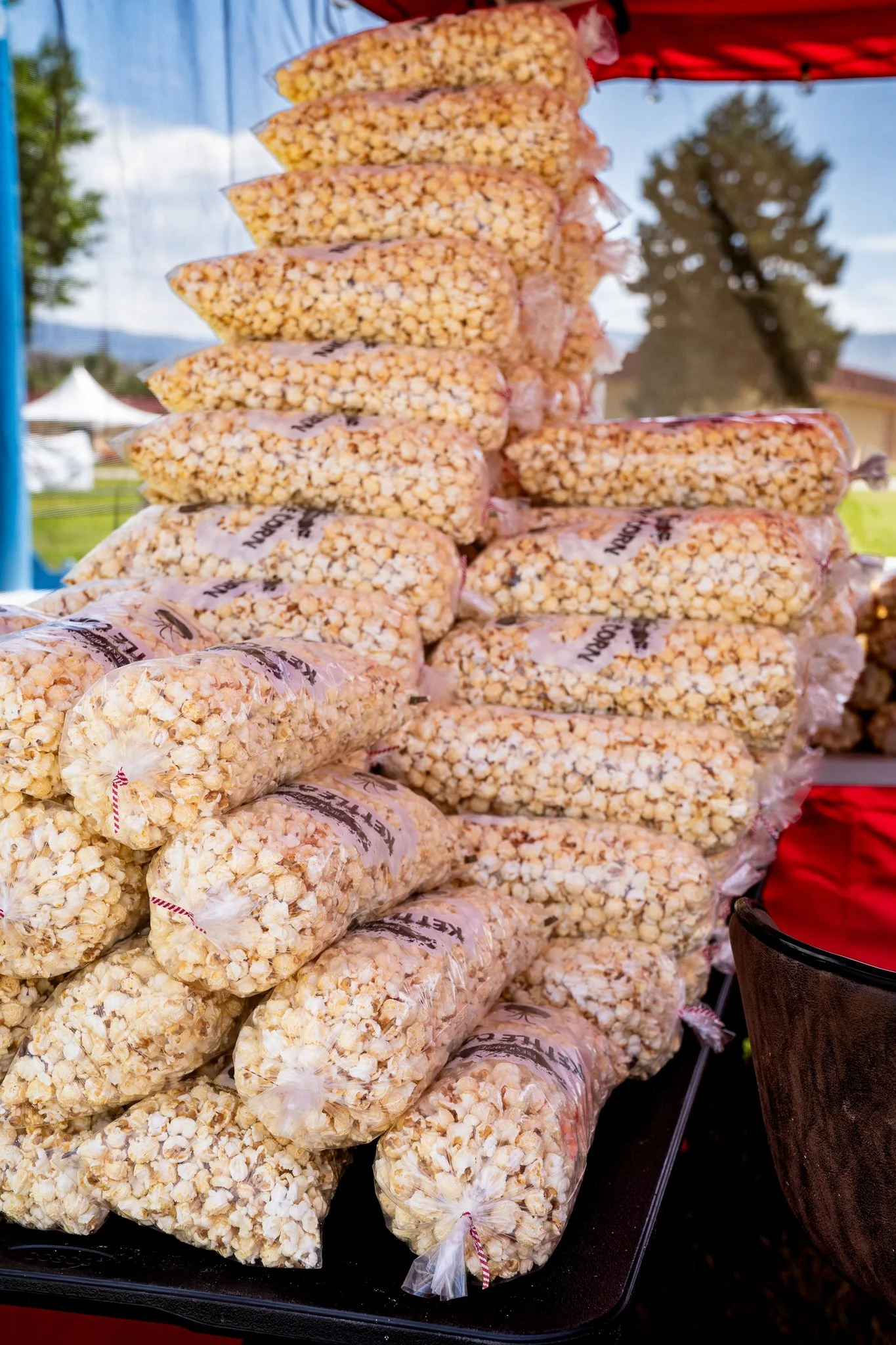 BMF2023 - PHOTO BY DEVYN MORRIS (WEB VERSION)-25.jpg