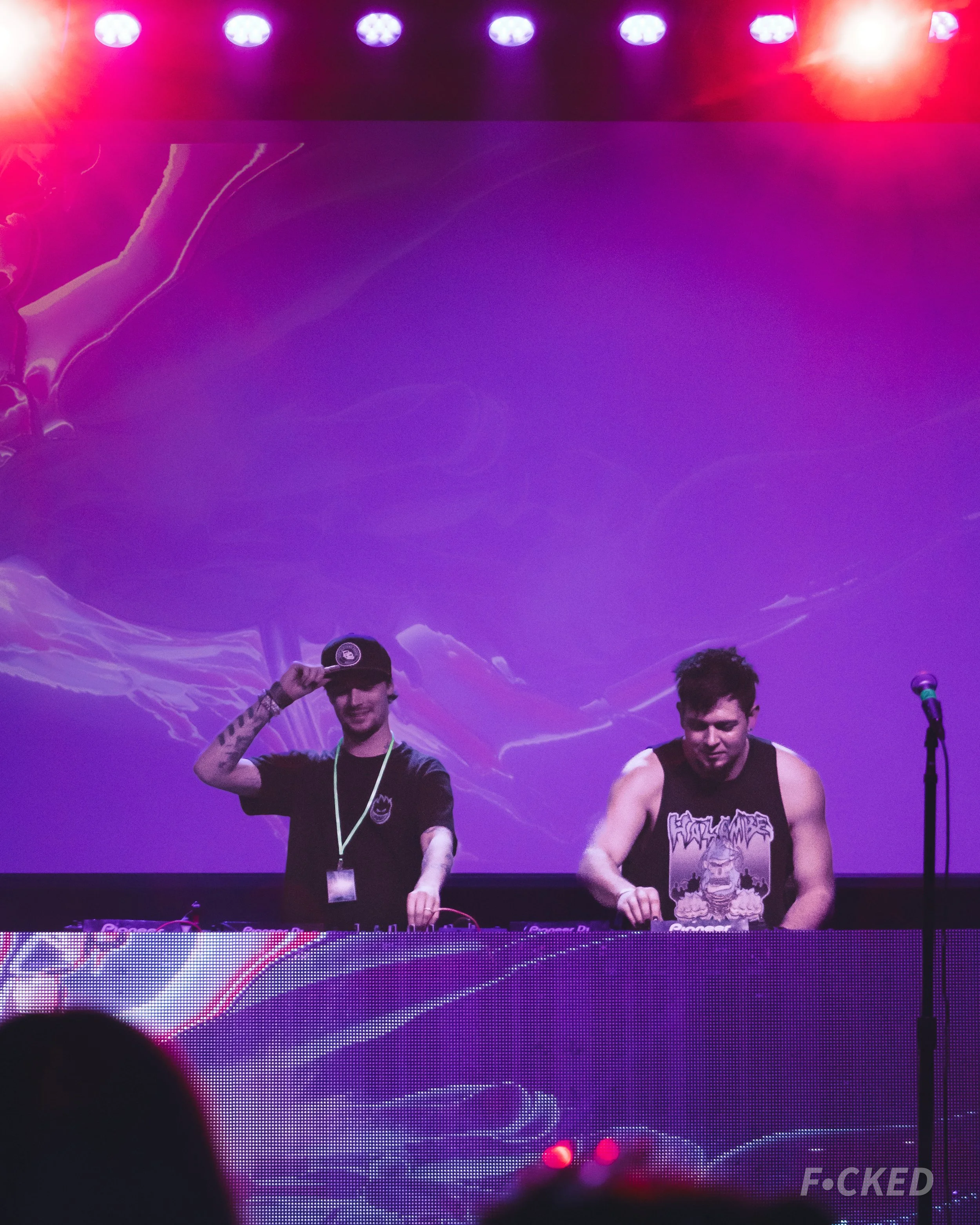 hazambe b2b whiplvsh vertical-02.jpg
