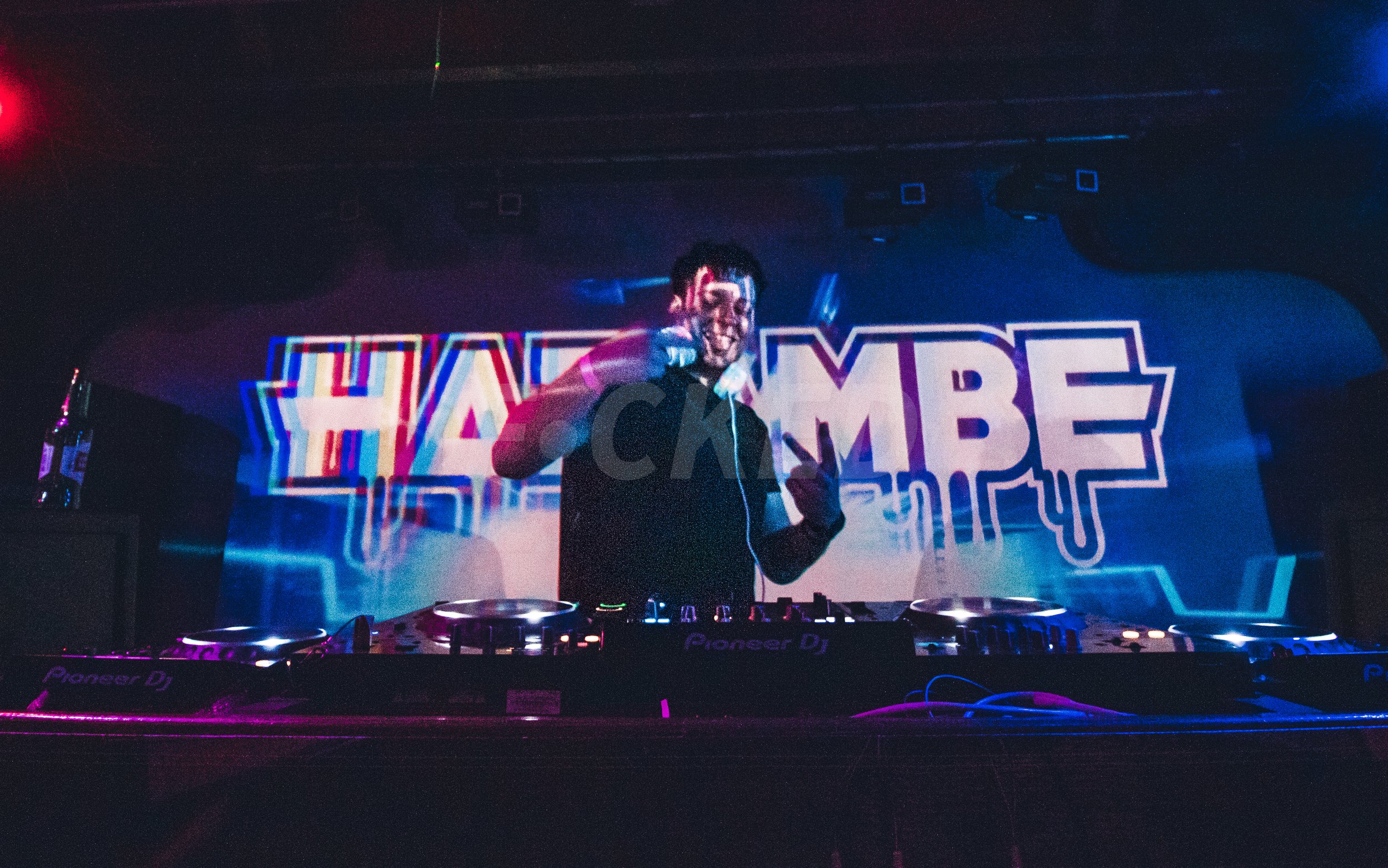 THUMP Heatwave - Hazambe - Focked.net-14.jpg