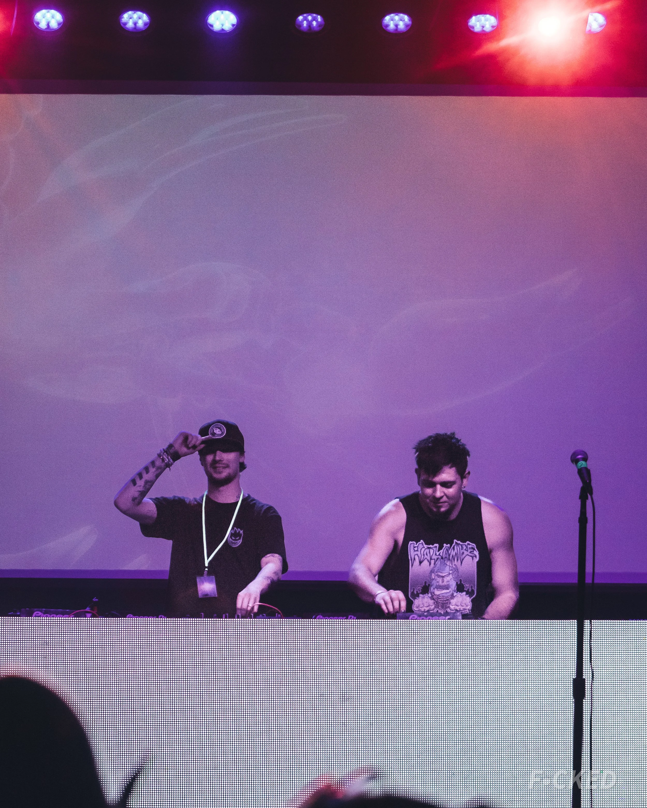 hazambe b2b whiplvsh vertical-20.jpg