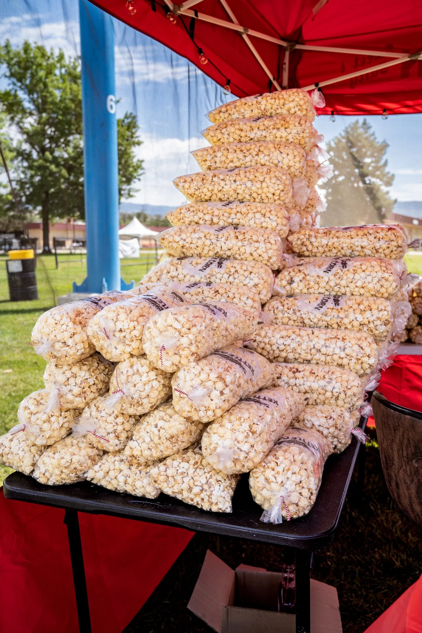 BMF2023 - PHOTO BY DEVYN MORRIS (WEB VERSION)-26.jpg