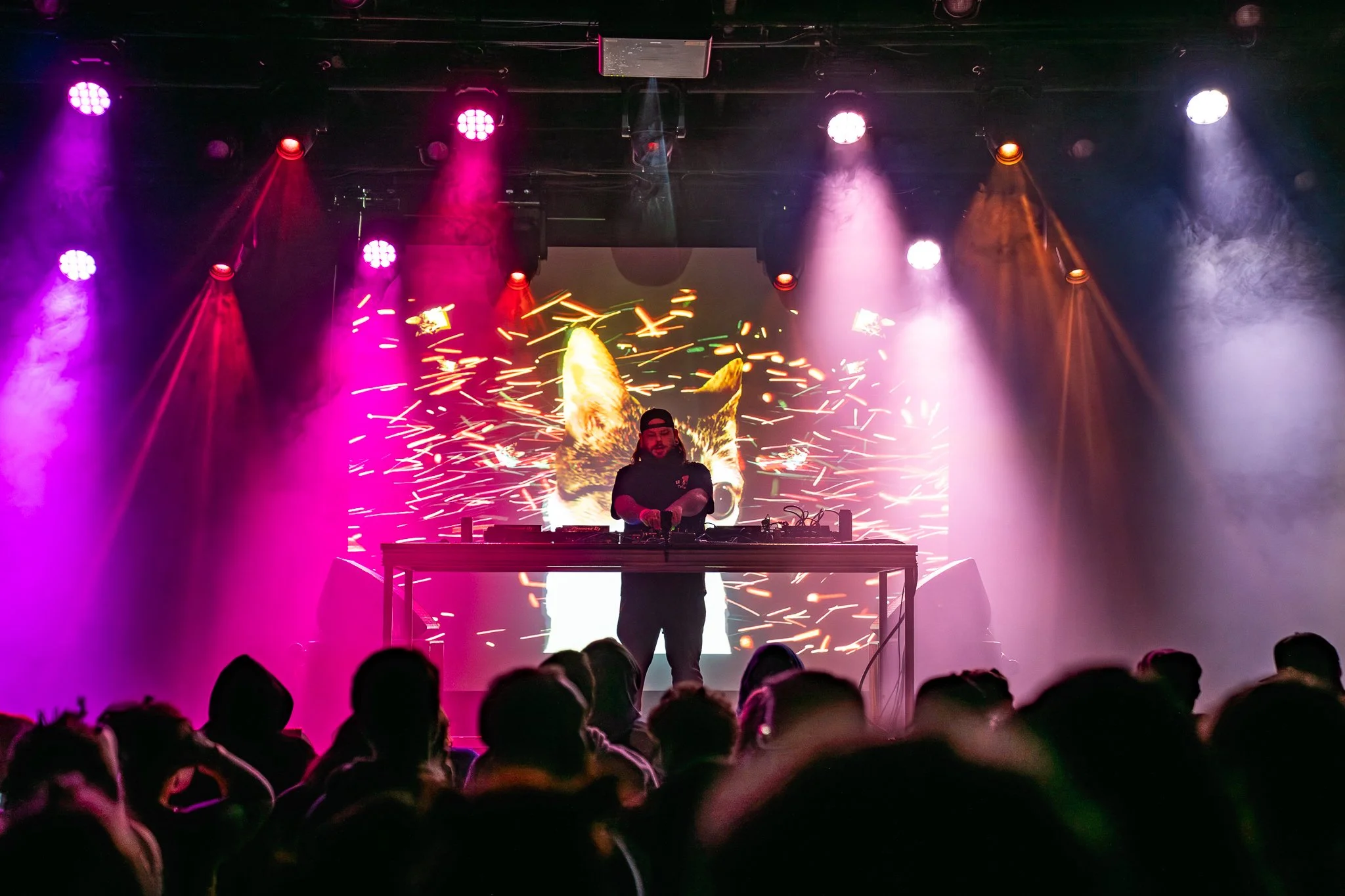 BASS DROP NYE - FOCKEDMEDIA PHOTO EDITS (for Focked.net)-038.jpg