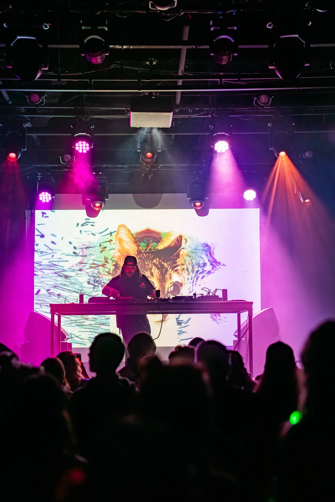 BASS DROP NYE - FOCKEDMEDIA PHOTO EDITS (for Focked.net)-037.jpg