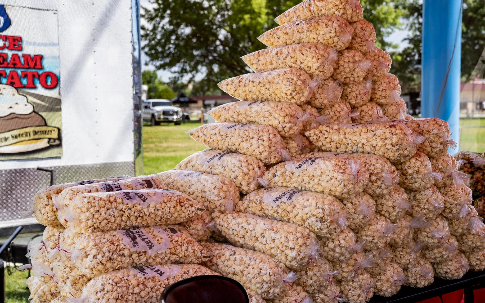 BMF2023 - PHOTO BY DEVYN MORRIS (WEB VERSION)-24.jpg