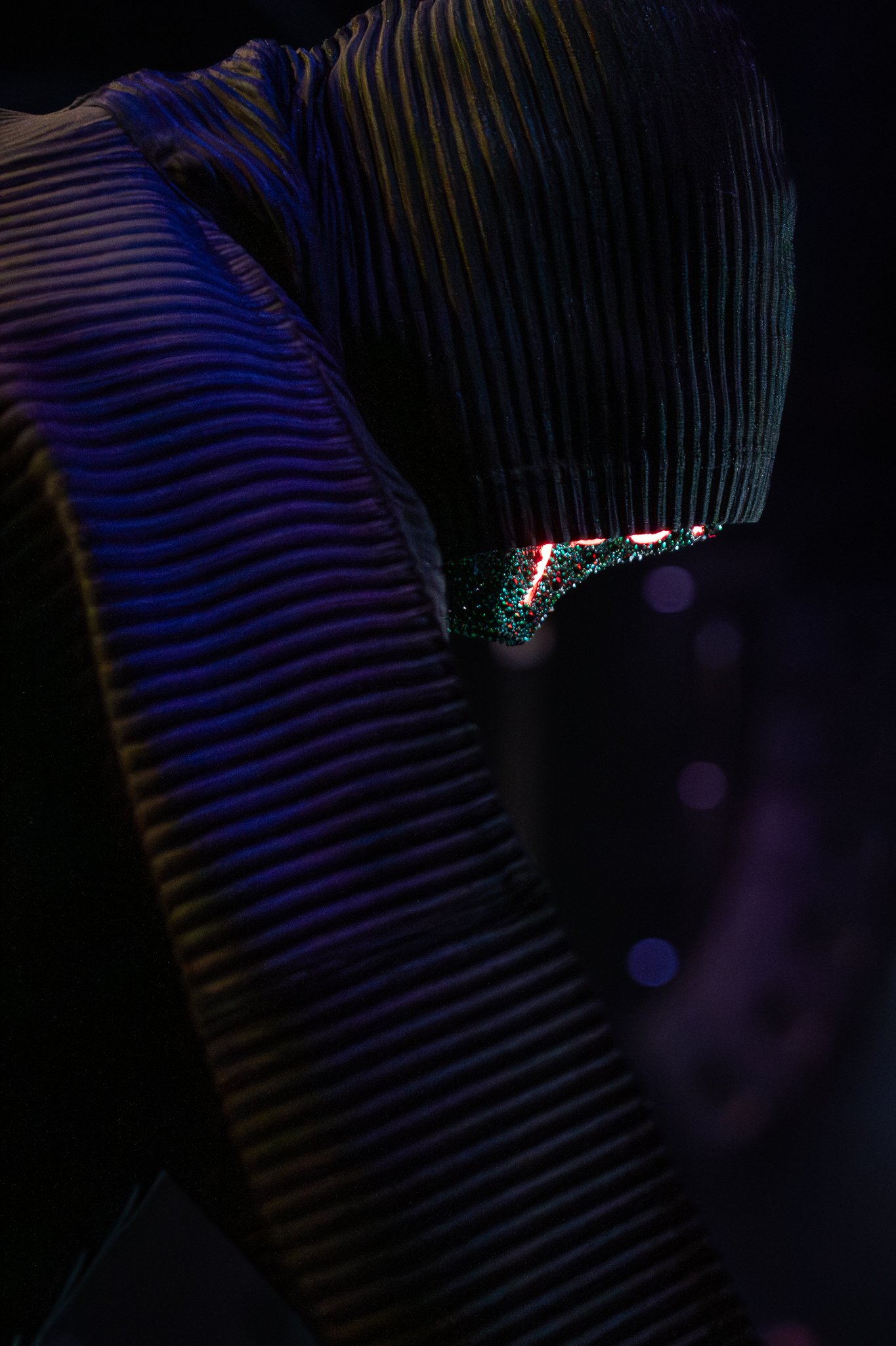 SICKICK at TREEFORT MUSIC HALL - CONCERT PHOTOGRAPHY by FOCKEDMEDIA-51.jpg