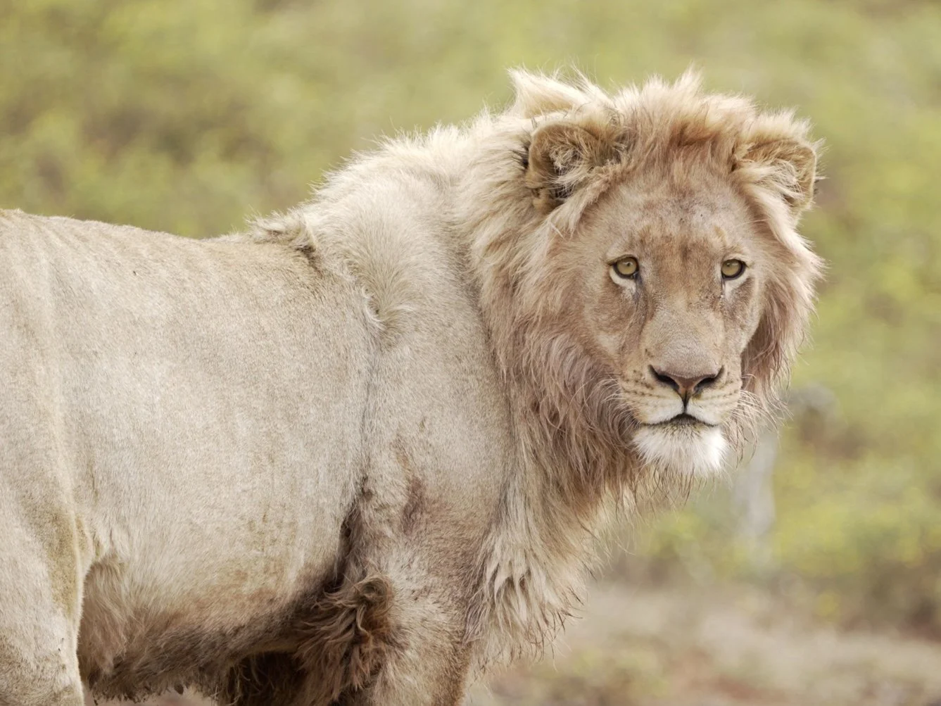 Image 12-09-22 at 8.17 PM.jpg