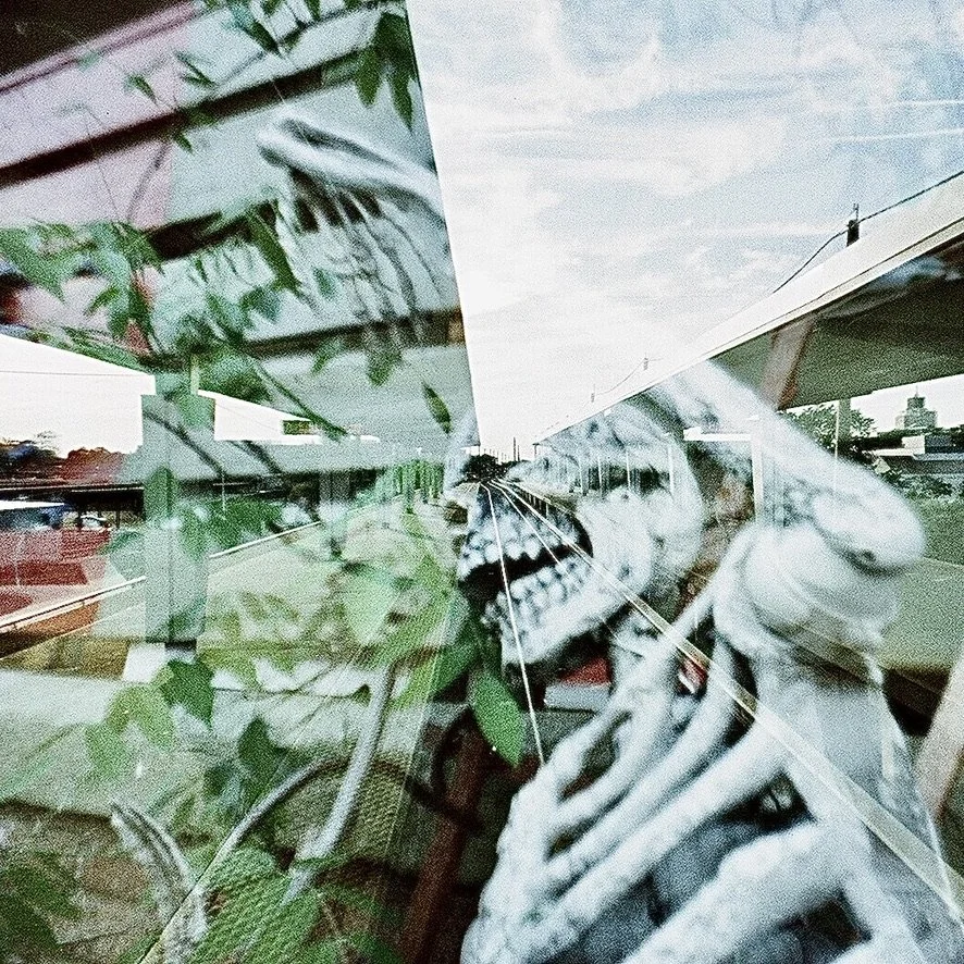 skeleton 67E2ECF9-28AE-48DA-A9C0-9559480BA712_1_105_c.jpeg