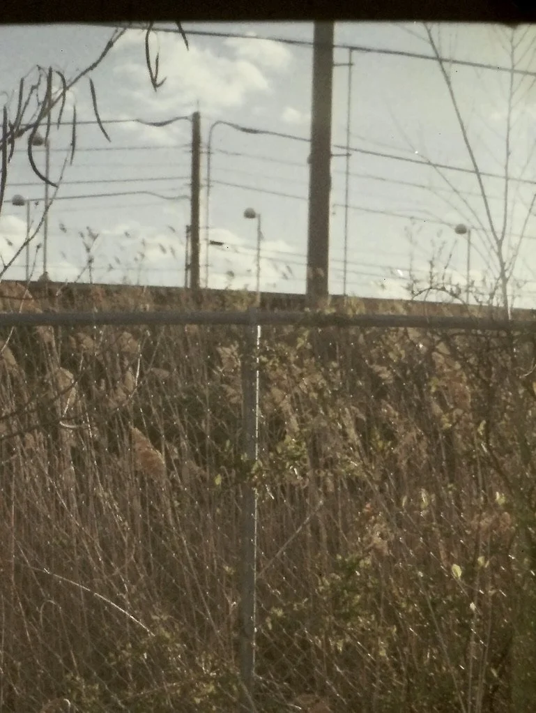 bag 2423D270-25DA-41FC-B572-3903E3B5CDD5_1_105_c.jpeg