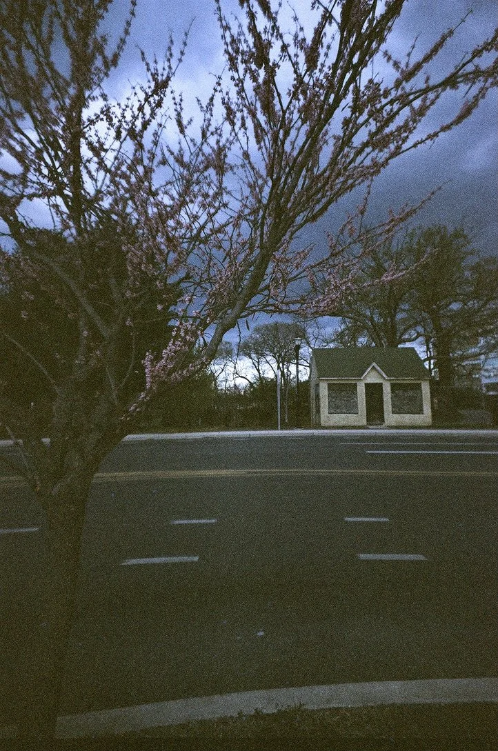 shack cherry blossoms 8215FD78-65EC-4828-BBB1-A705DEE4FDA1_1_105_c.jpeg