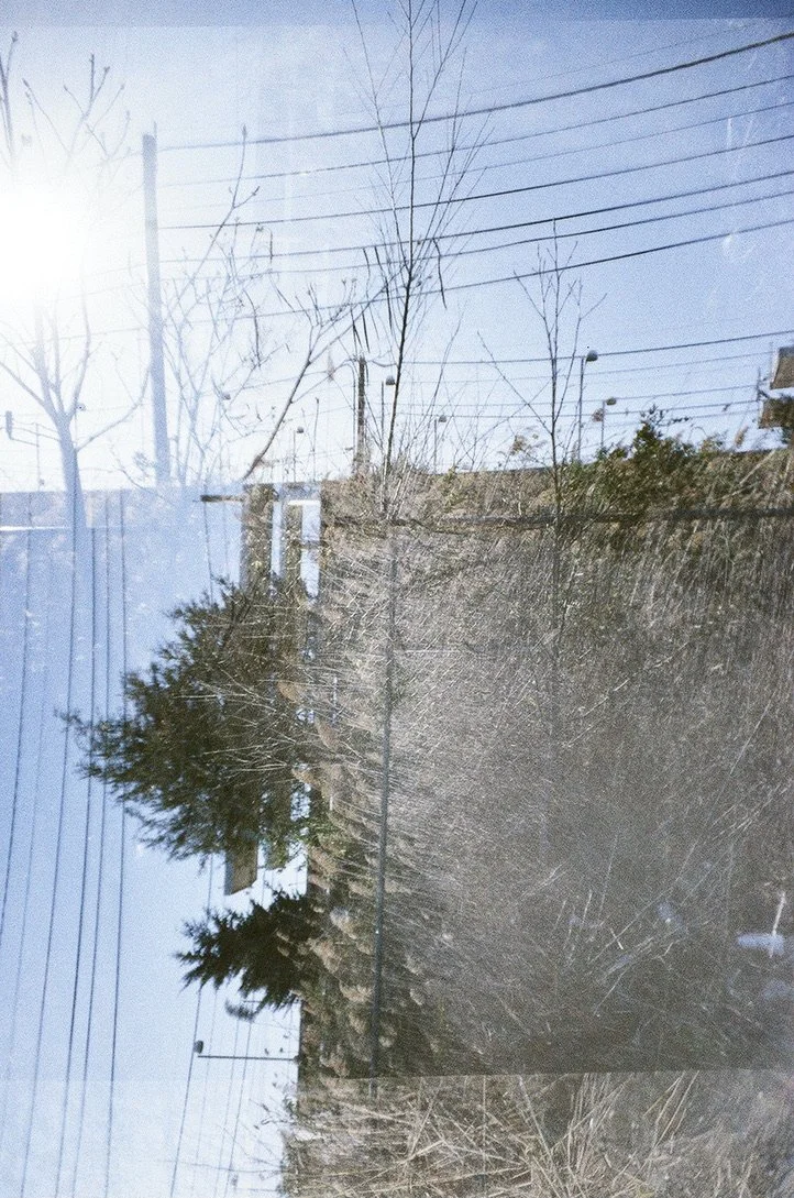 parking lot MX trees 2B72476A-8054-4167-920B-44303ABF6D9F_1_105_c.jpeg